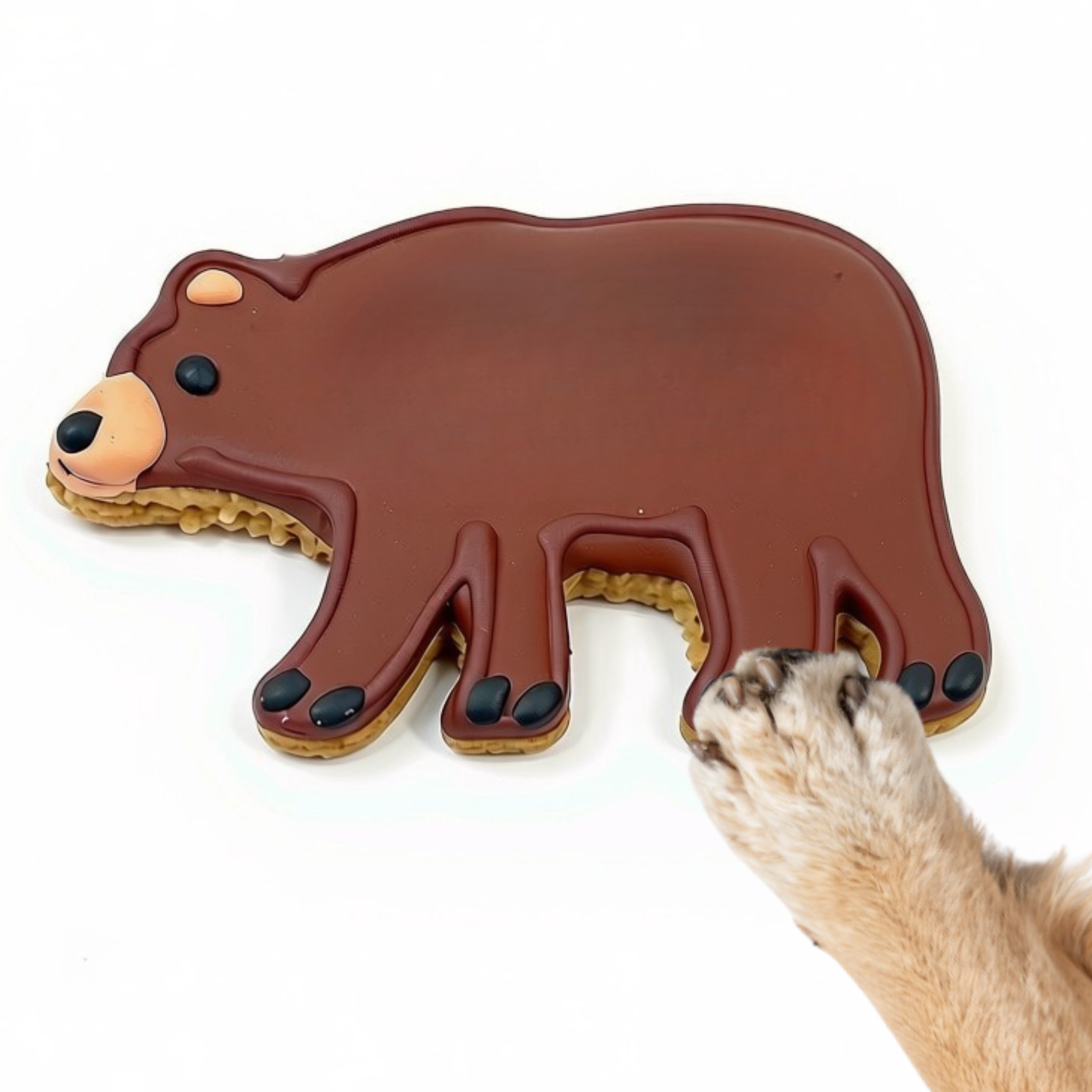 Dog Paw Touching Cookie.png