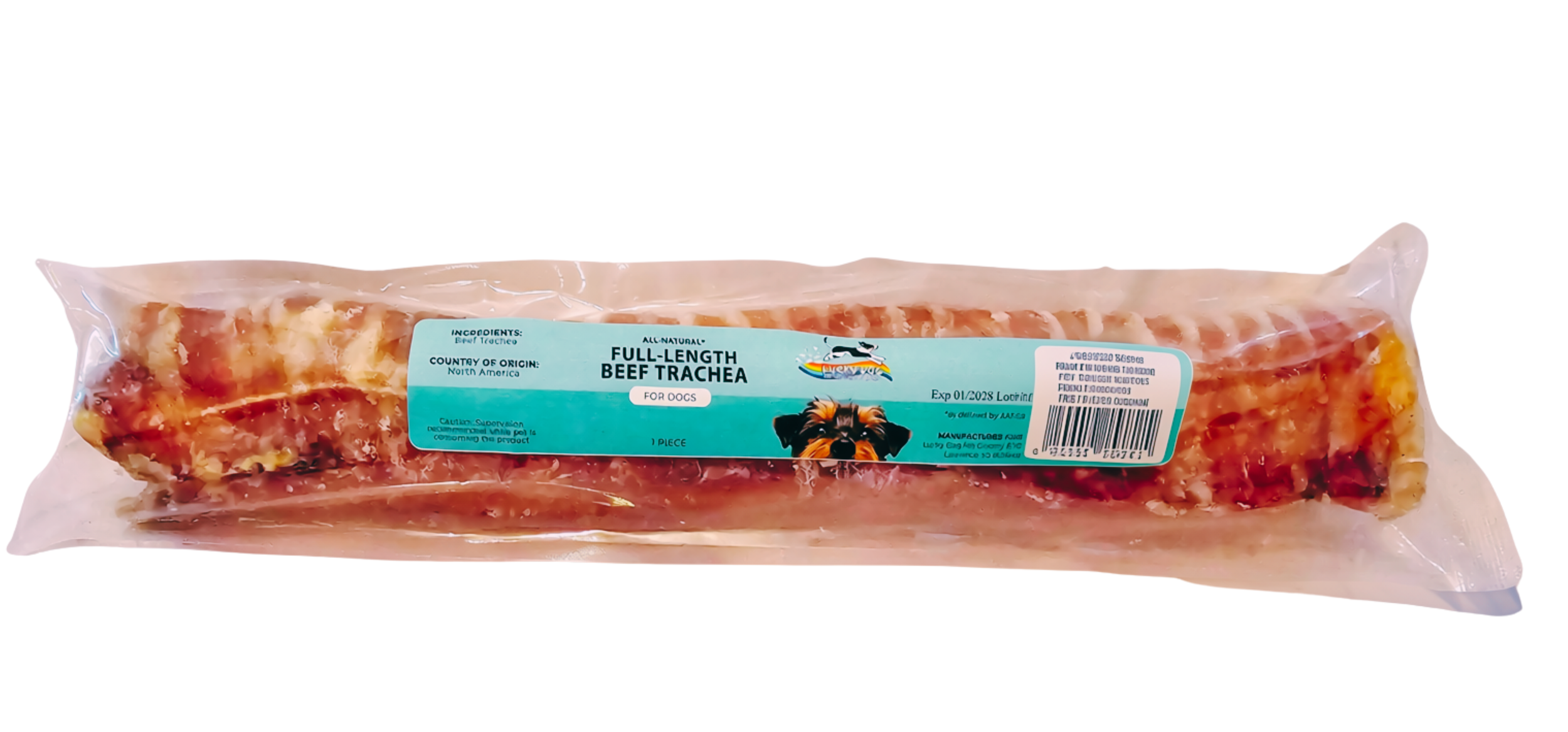 Full Length Beef Trachea.png