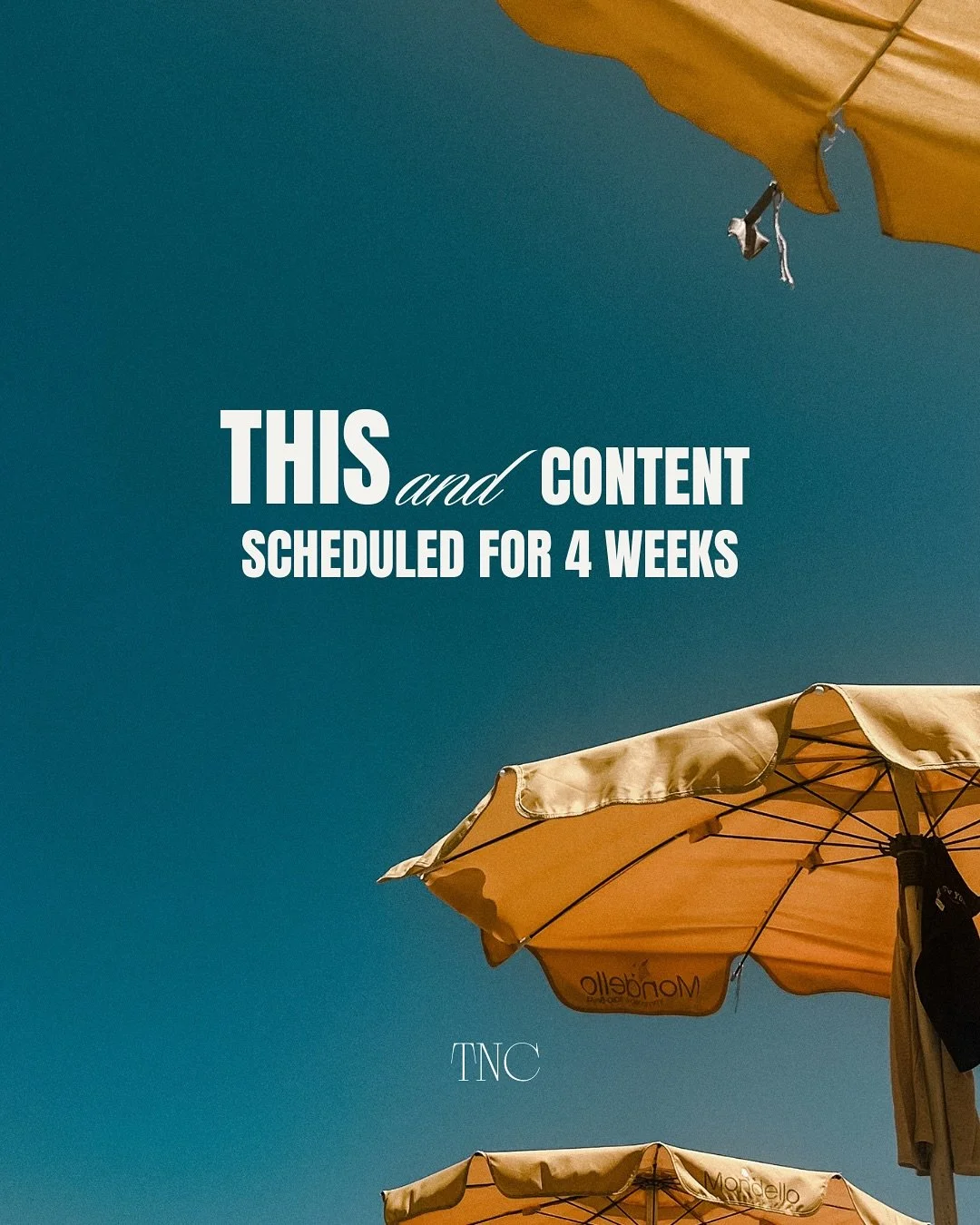 this and not having to count down the days until my next vacation. 
Anyone else ready for a break?
