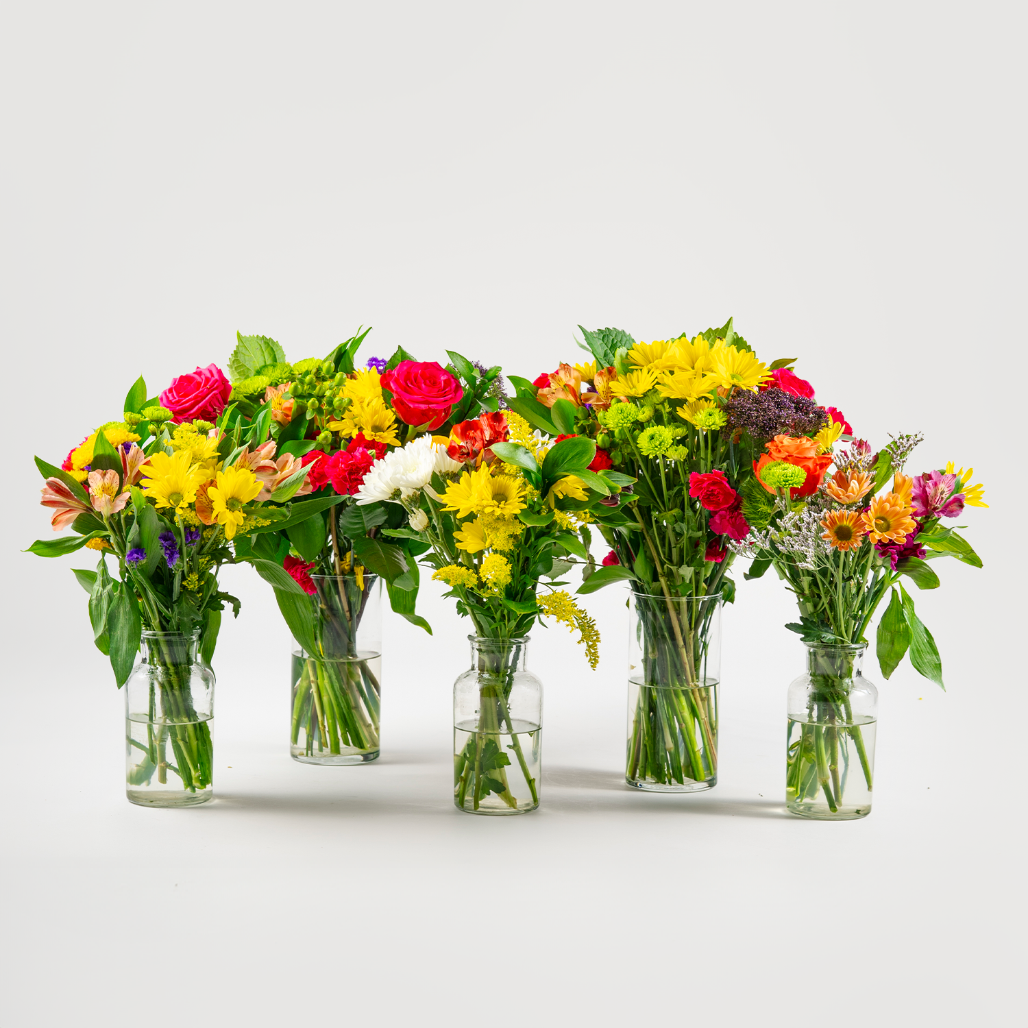 Large Bundle - Arrangement.png