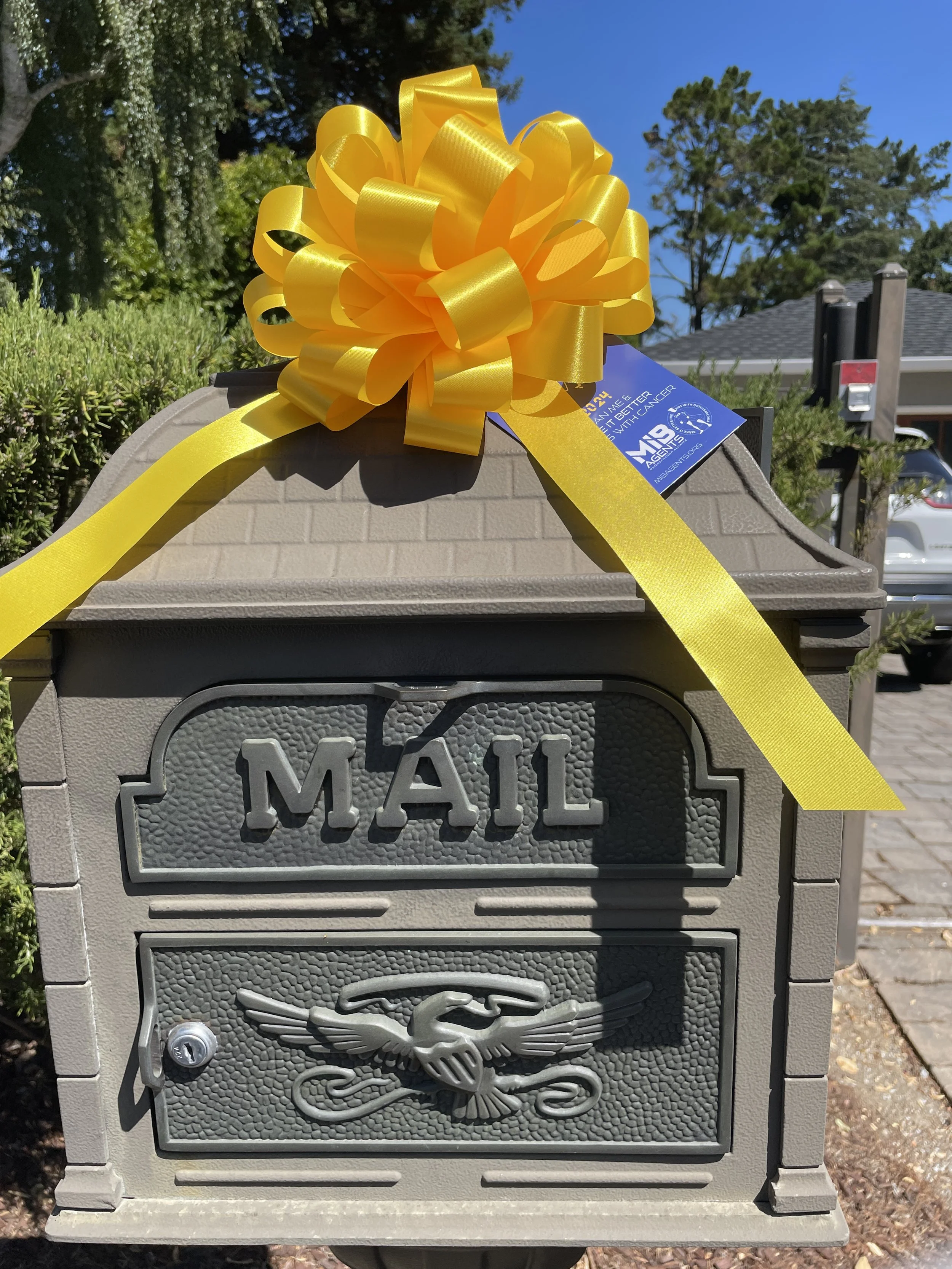 Mailbox gold bow.JPG