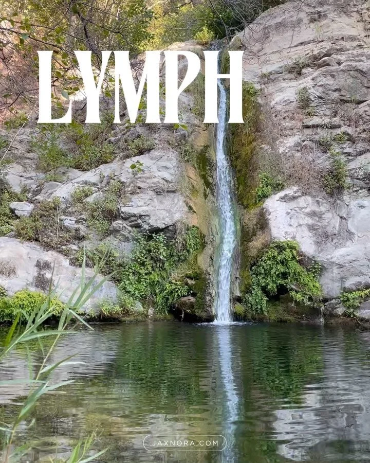Lately, the lymph has been speaking.
Not in words, but in symptoms.
Clients with headaches. Fatigue. Breakouts.
The body whispering:
&ldquo;I&rsquo;m trying to clear something.&rdquo;

So, I&rsquo;ve been working the fascia around the lymphatic big s