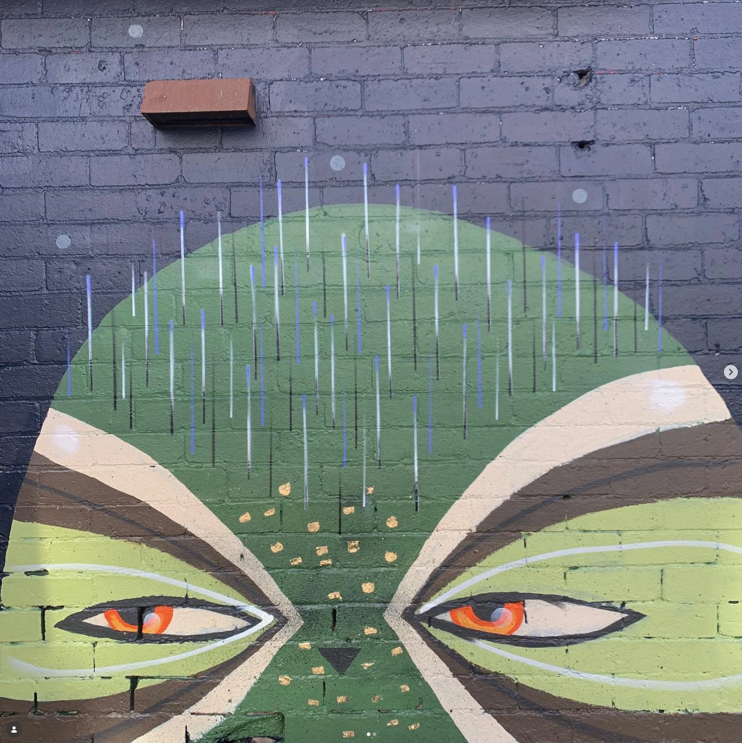 06.jpg