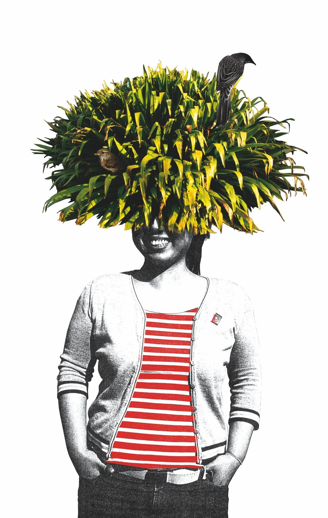 Moonlight Cinema Tree People illustration by Melbourne artist Darren Henderson, designed by Andrew Ashton