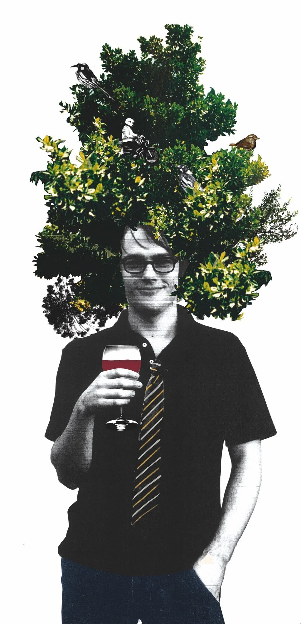 Moonlight Cinema Tree People illustration by Melbourne artist Darren Henderson, designed by Andrew Ashton