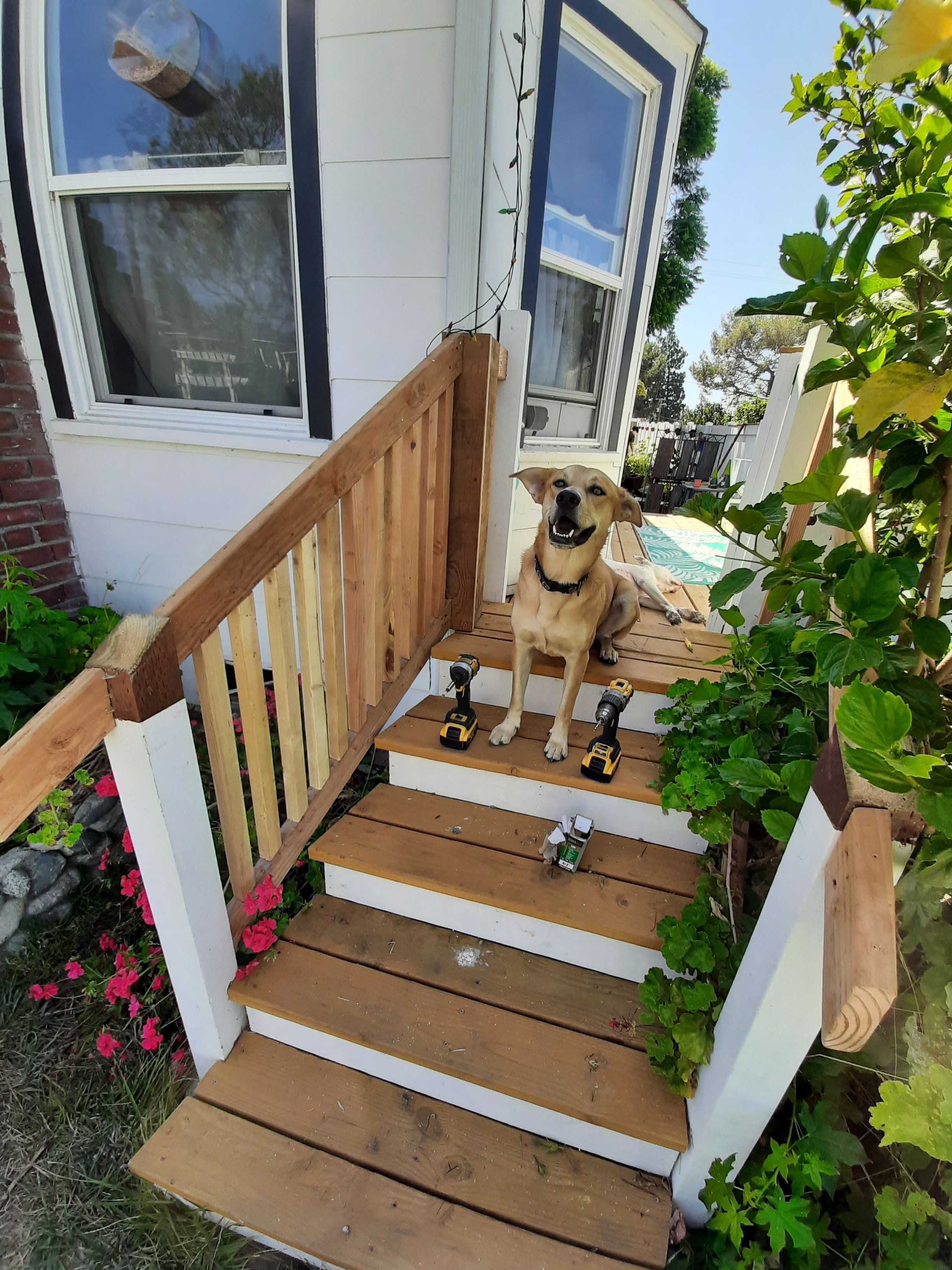 craftsman-home-deck-carpenter-sandiego-89.jpg