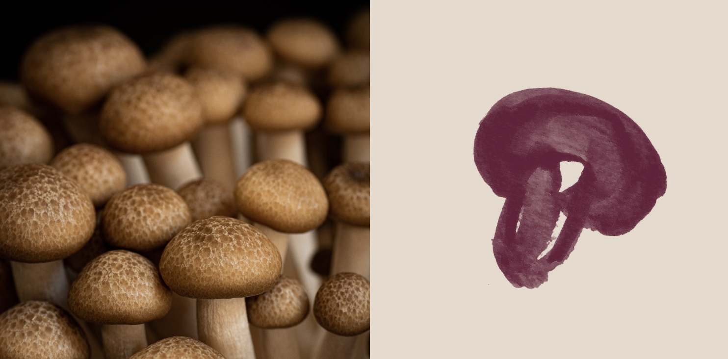 Screenshot 2024-09-12 at 12.48.32 PM.png