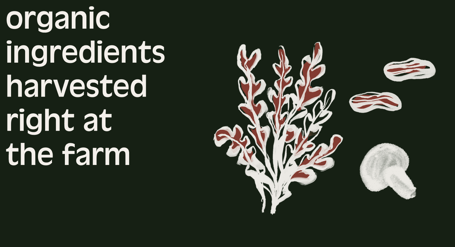 Screenshot 2024-09-12 at 12.48.52 PM.png