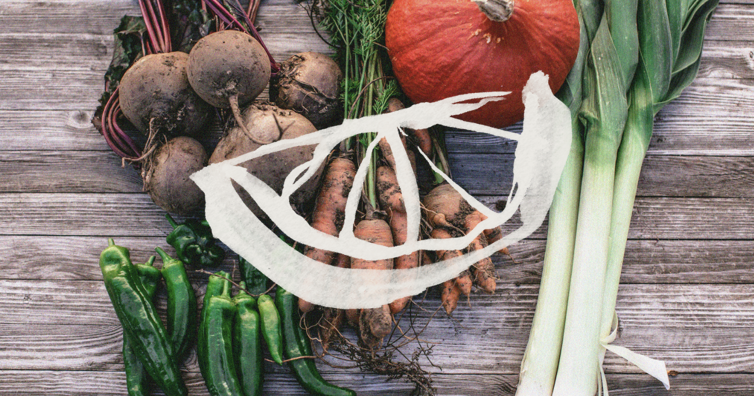 Screenshot 2024-09-12 at 12.49.18 PM.png