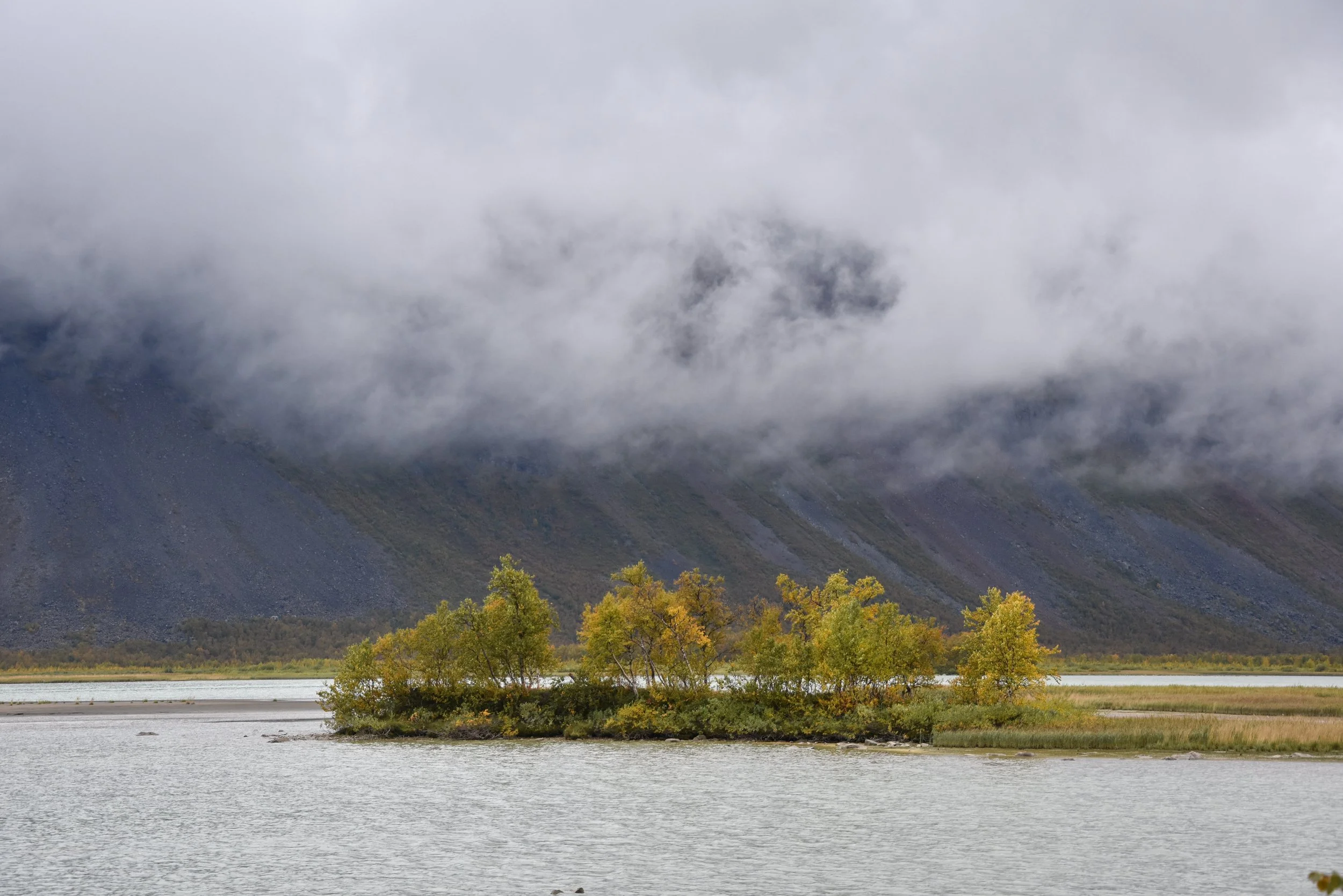 DSC_0426.jpg