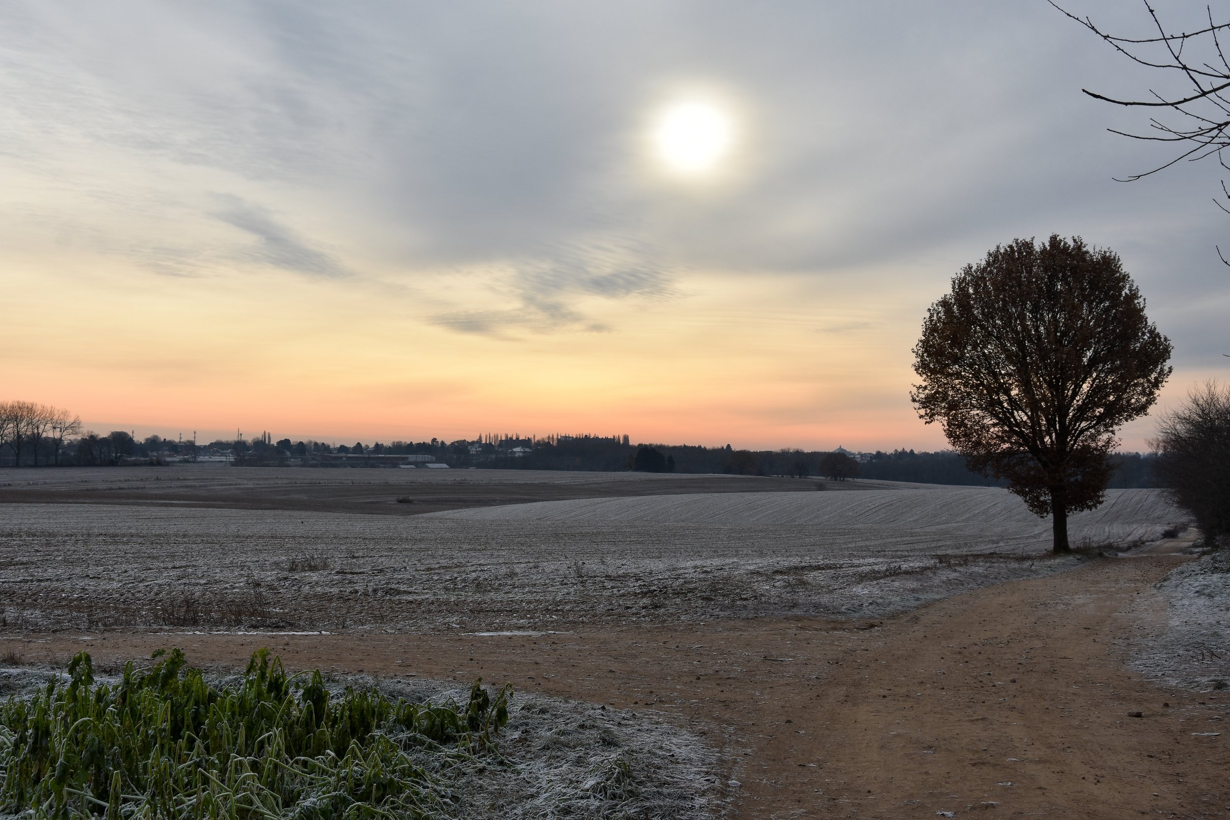 DSC_0170 2.jpg