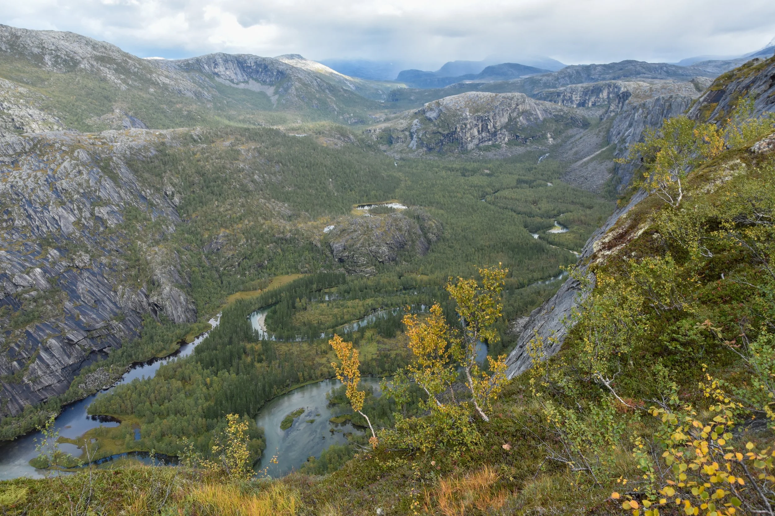 DSC_0300.jpg