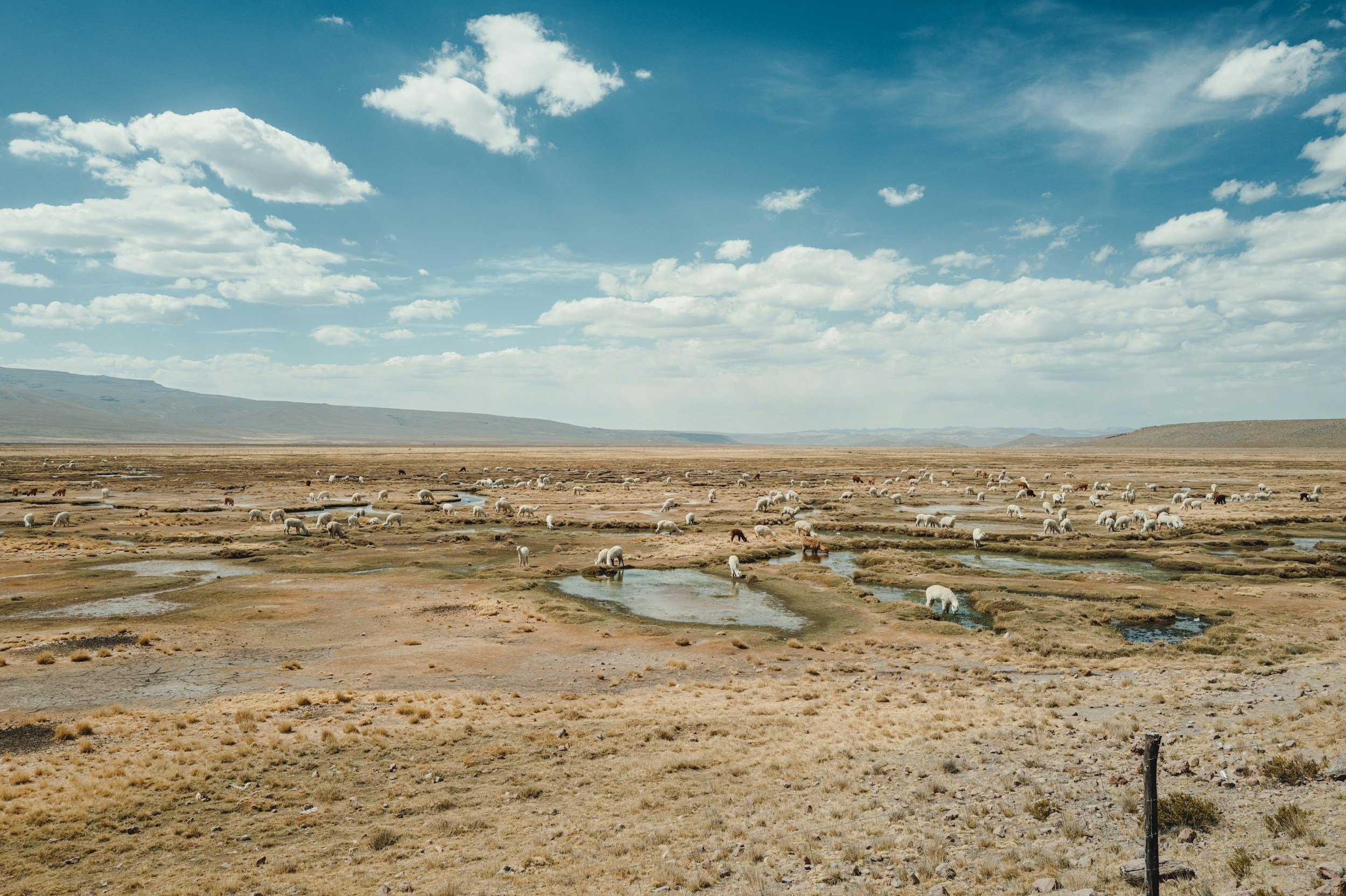 unsplash-image-1fqO-BZbjmA.jpg