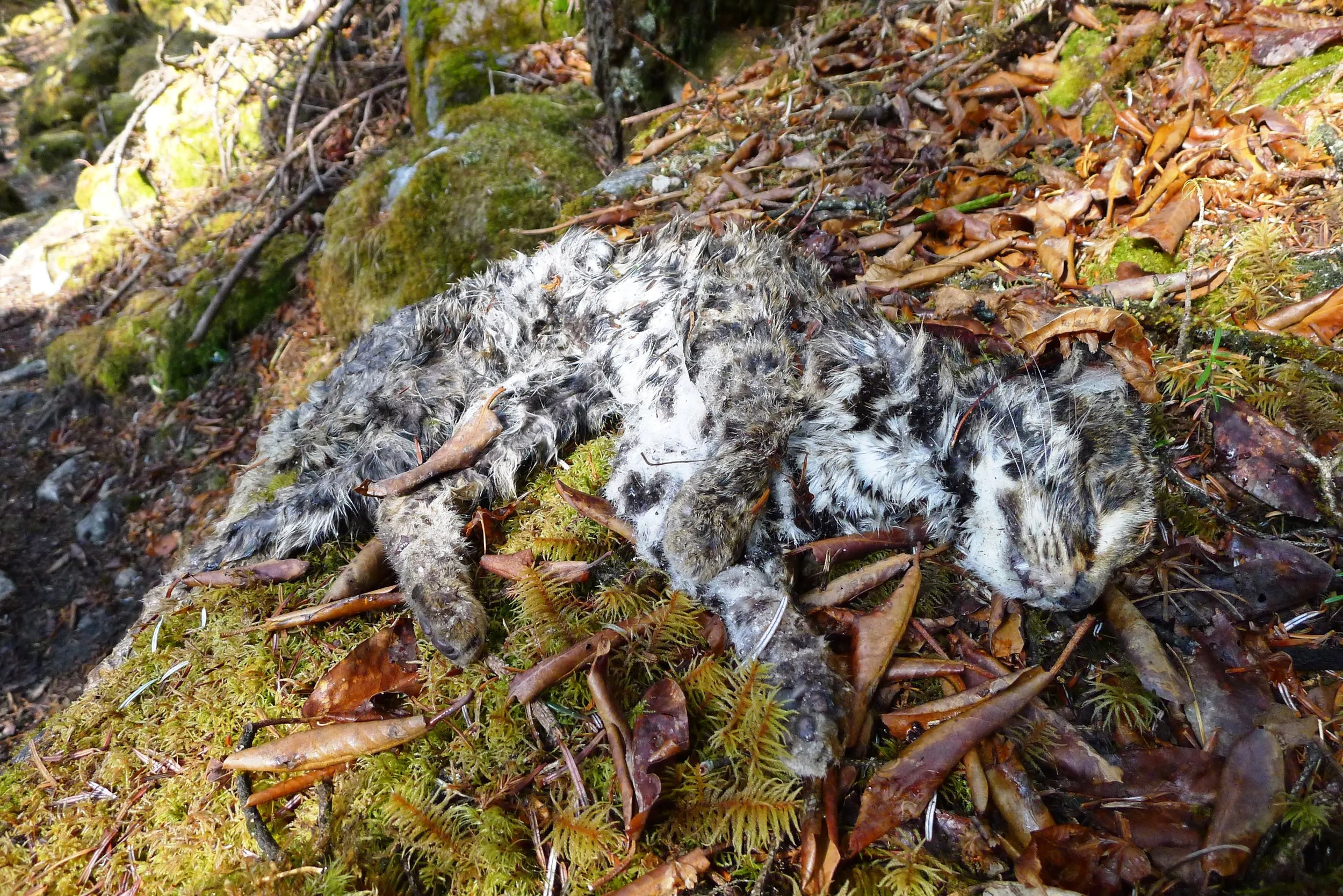 awarenearth_ (92).JPG