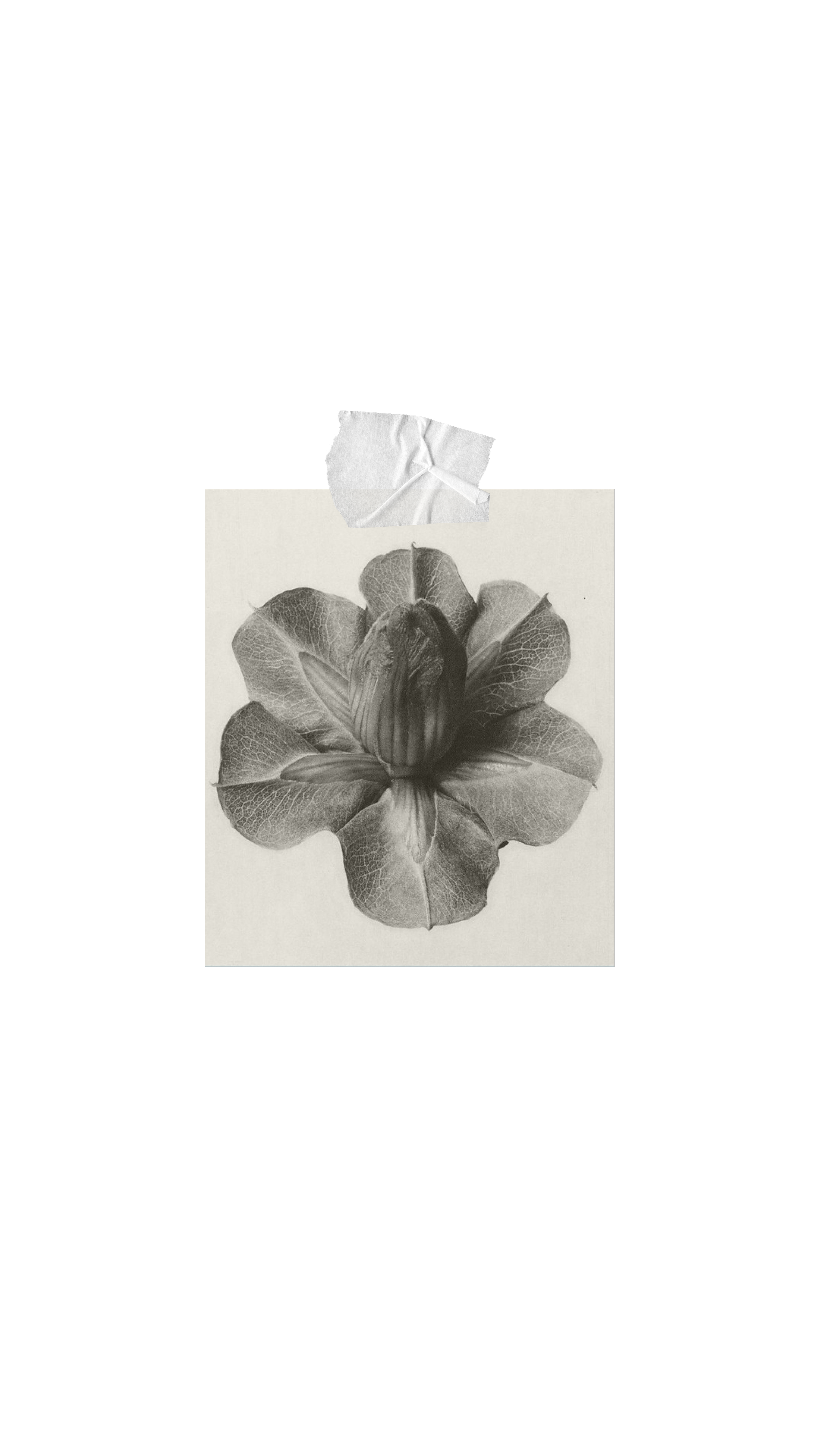 Graei Portrait photography and creative direction Ireland | price guide