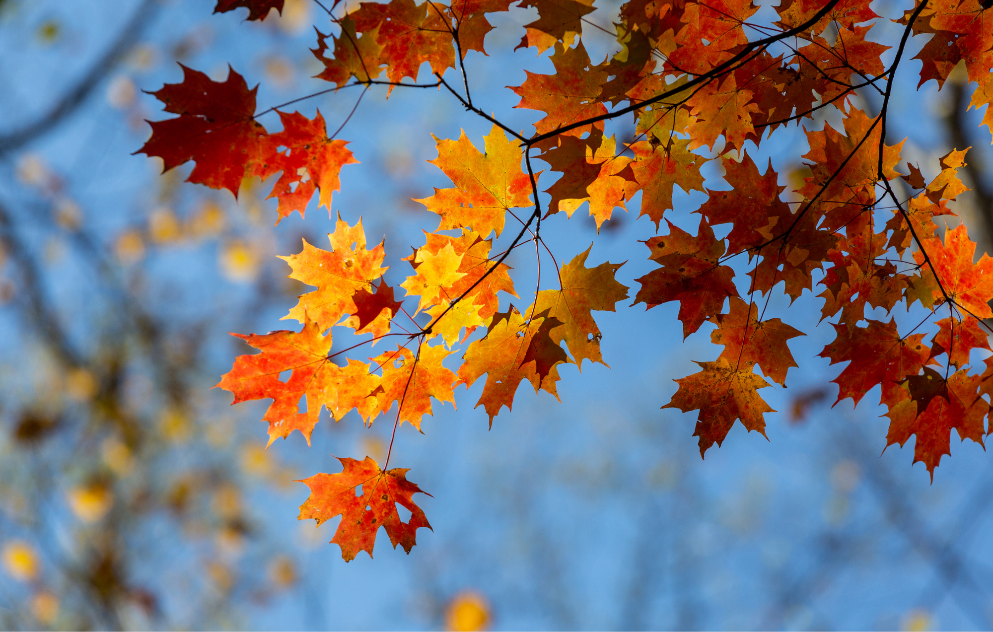 Finding Balance as the Seasons Change