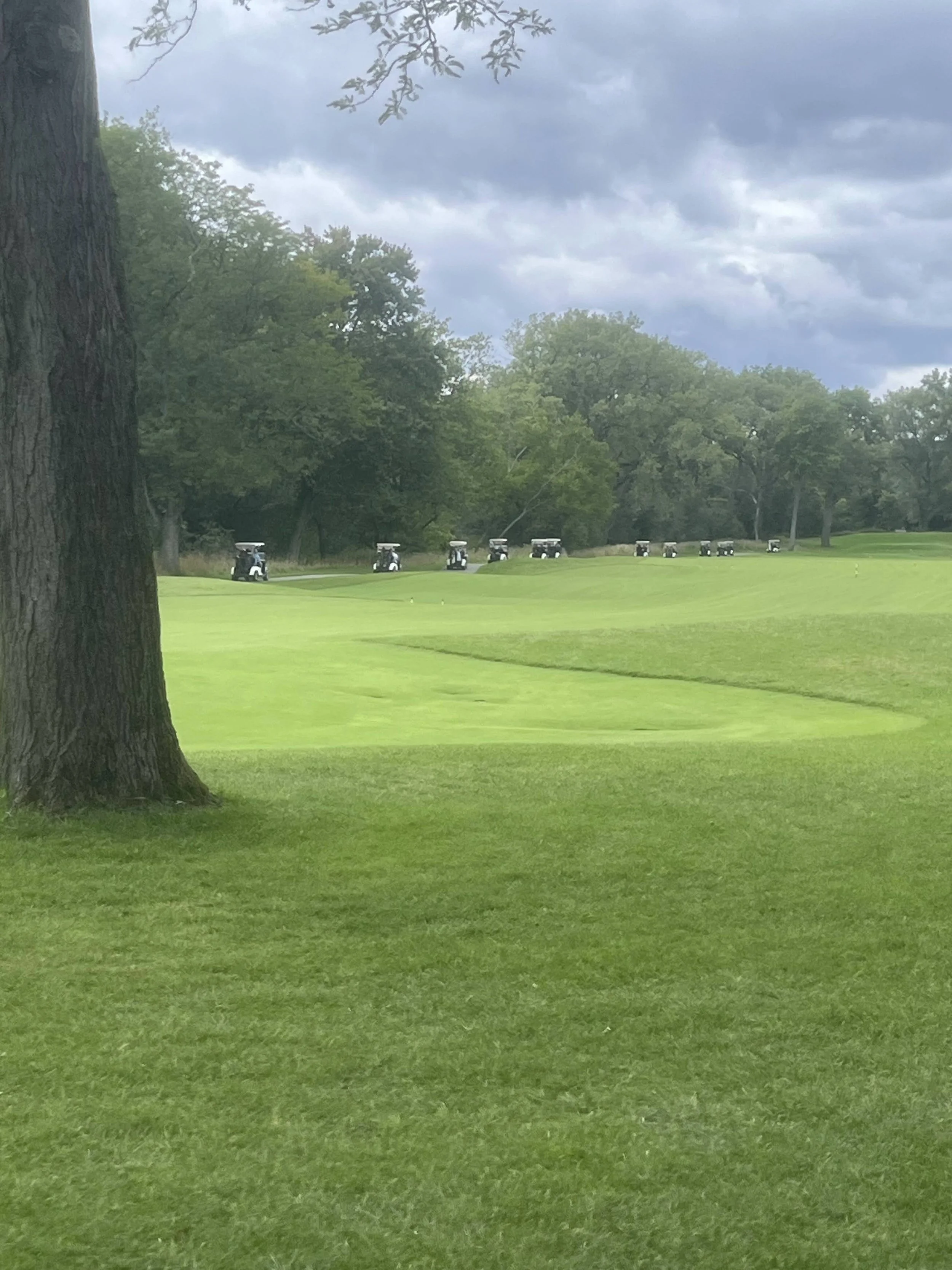 carts heading out.jpg