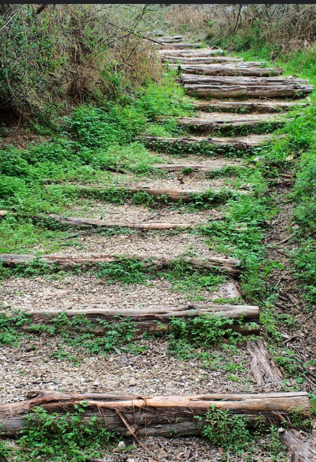Level 1 vs Level 2 IFS Training: What the Difference Means for Your Therapy
