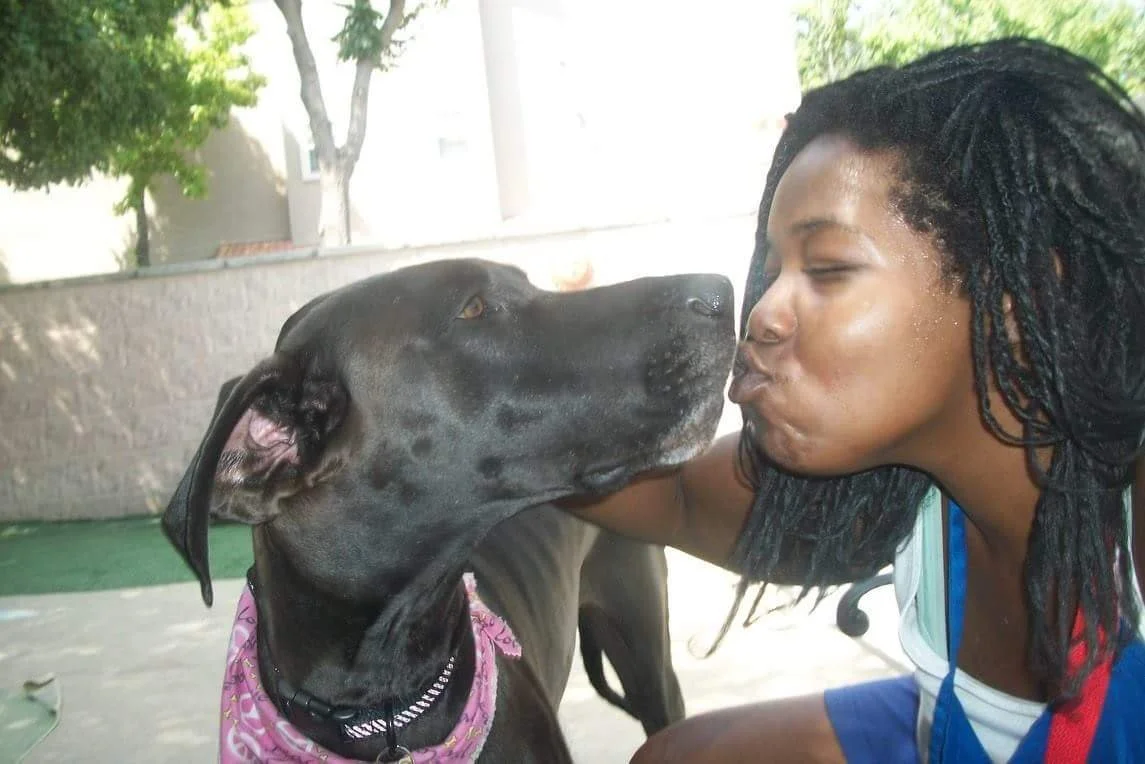 dog nail trim at home mobile