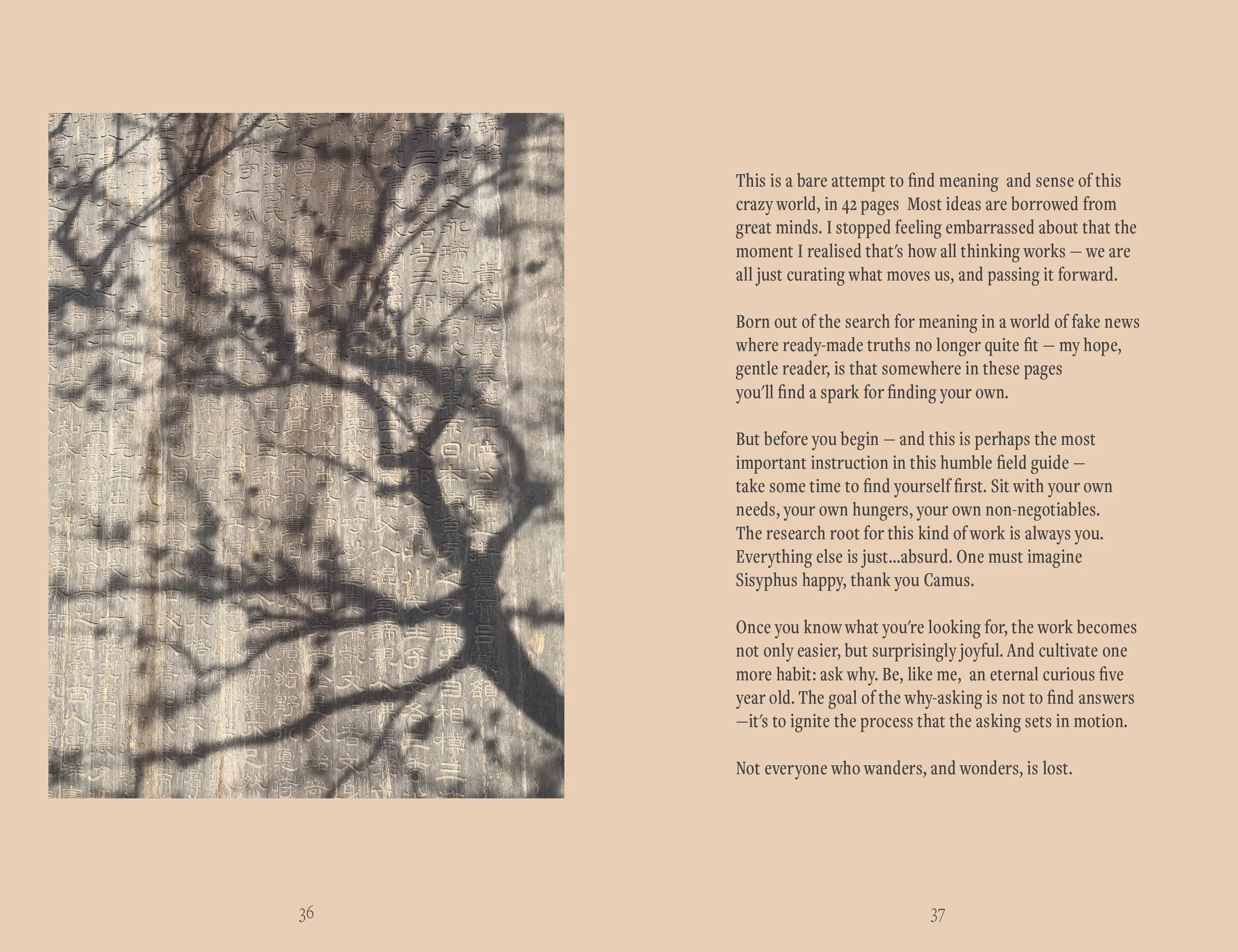PAGE 36-37.jpg