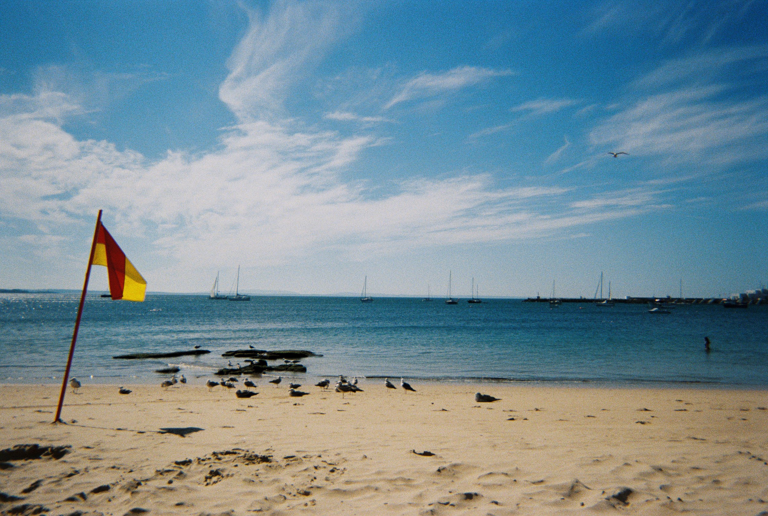 Dreamscapes. Cascais, Portugal, 2024. Disposable Camera.
