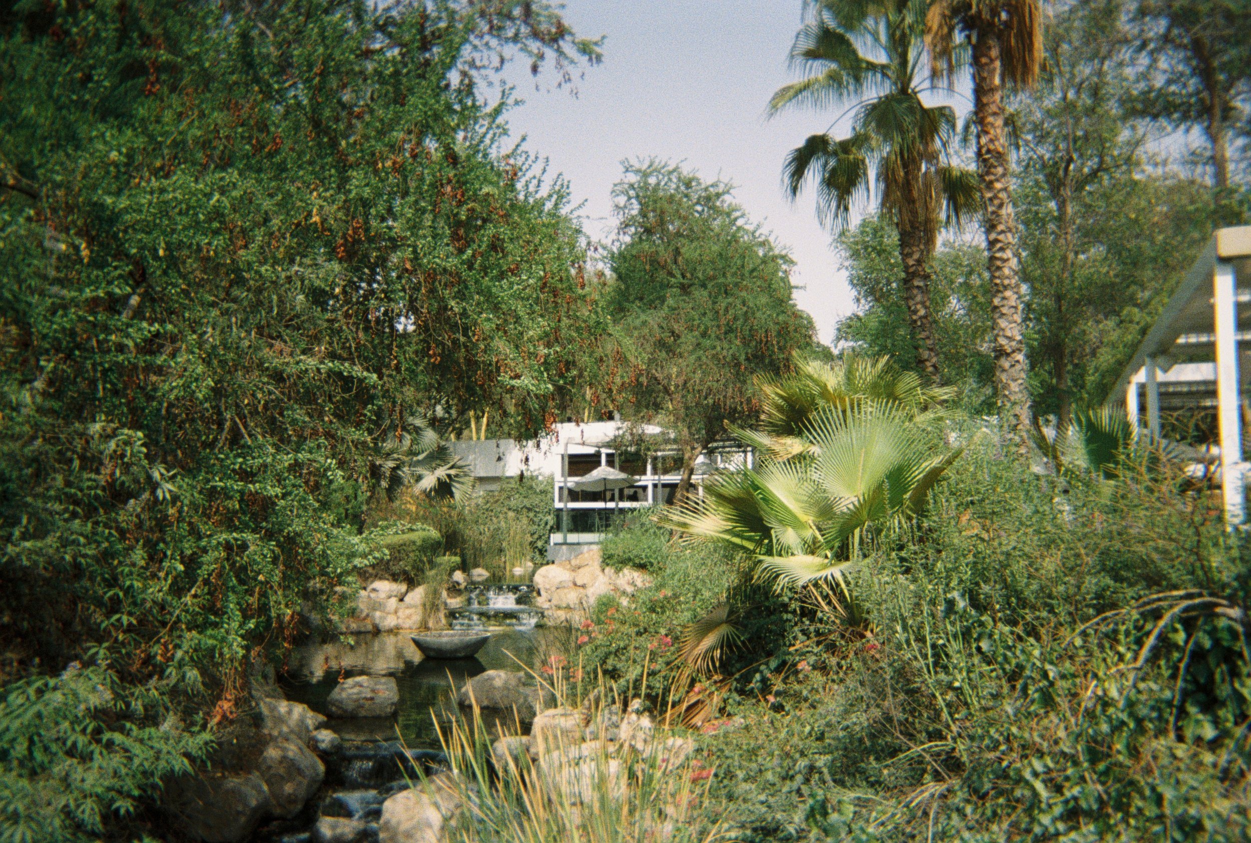 Secret Garden. Al Barari, Dubai, 2023. Disposable Camera.