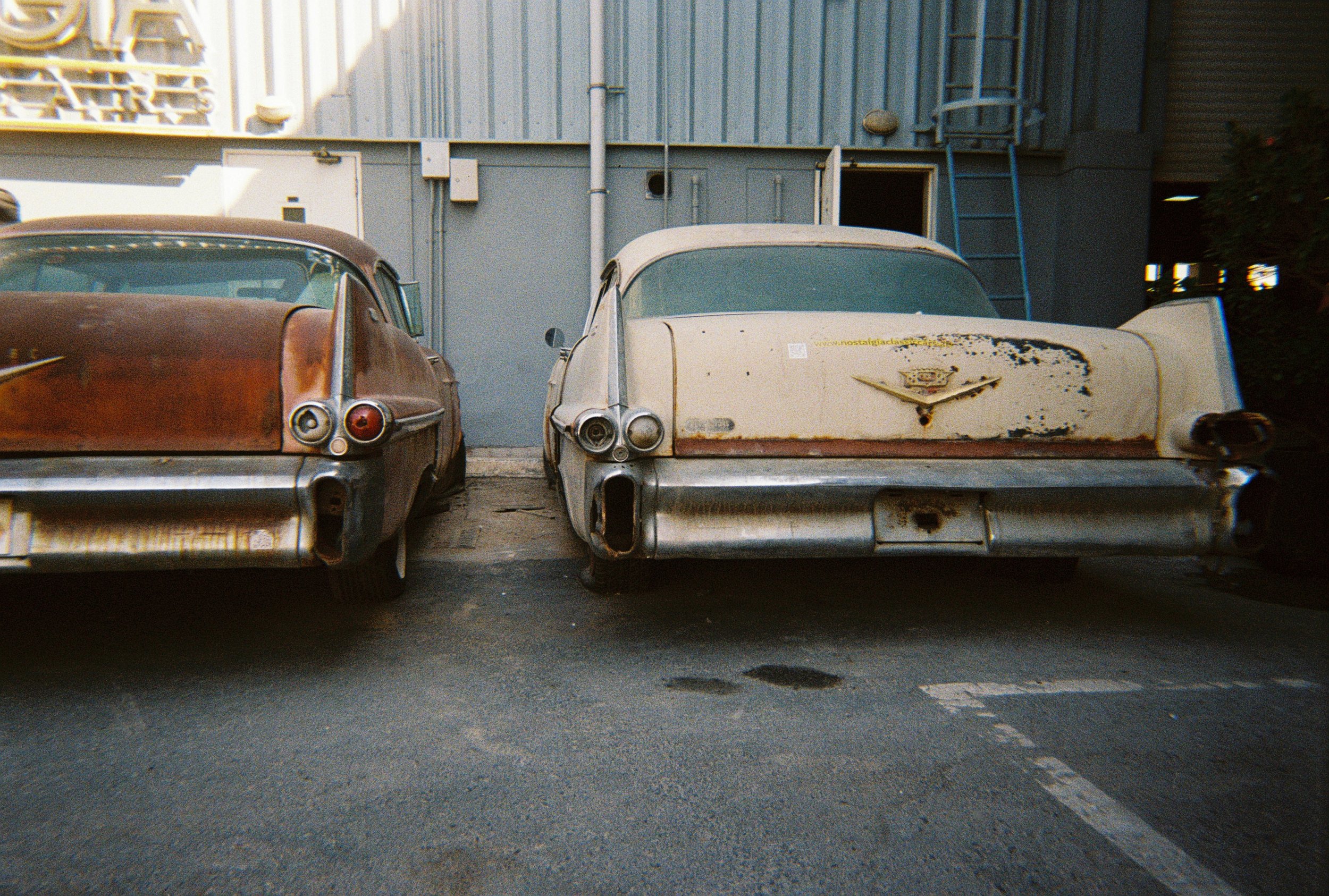 Old money. Dubai, 2024. Disposable Camera.