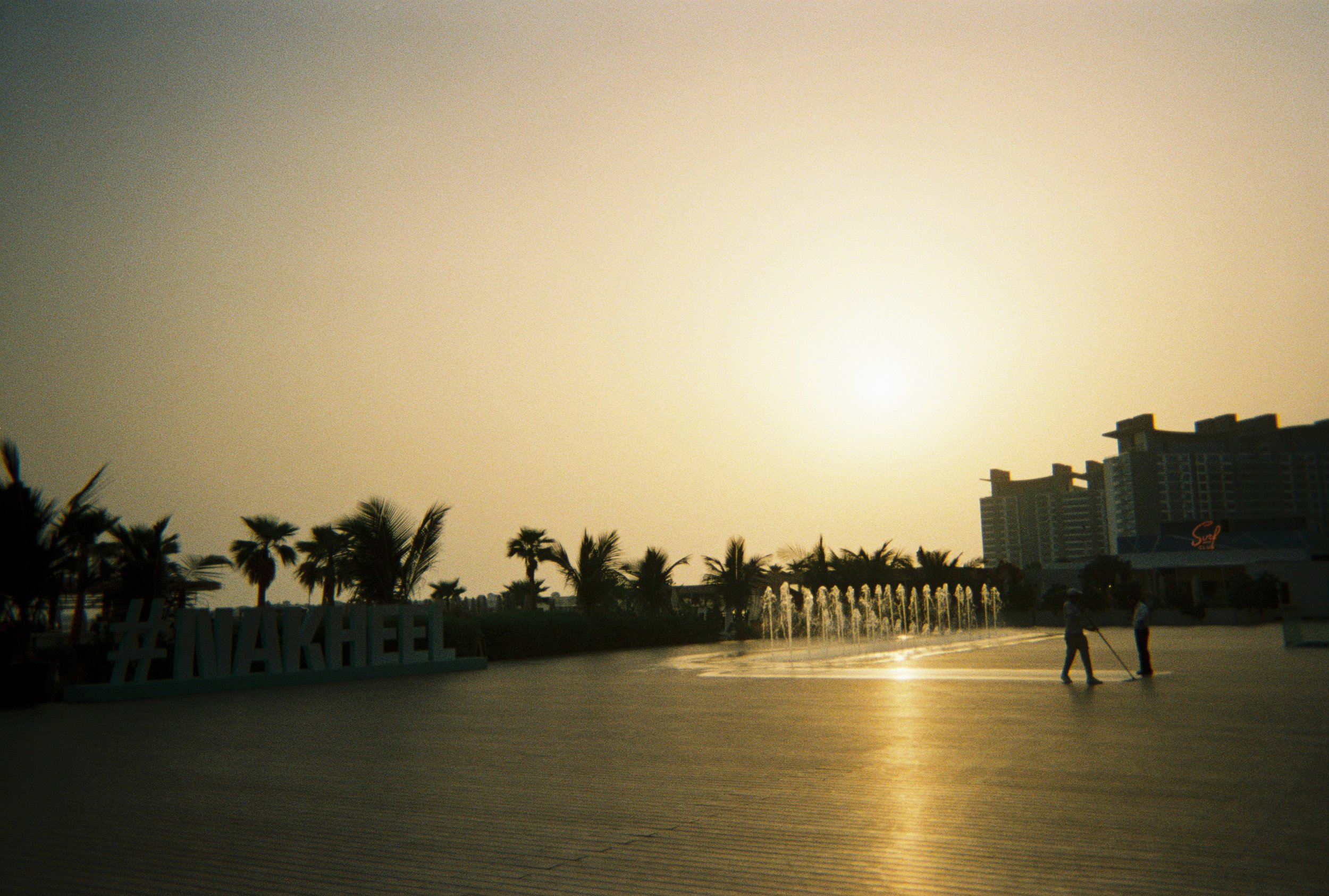 Palm views. Dubai, 2023. Disposable Camera.
