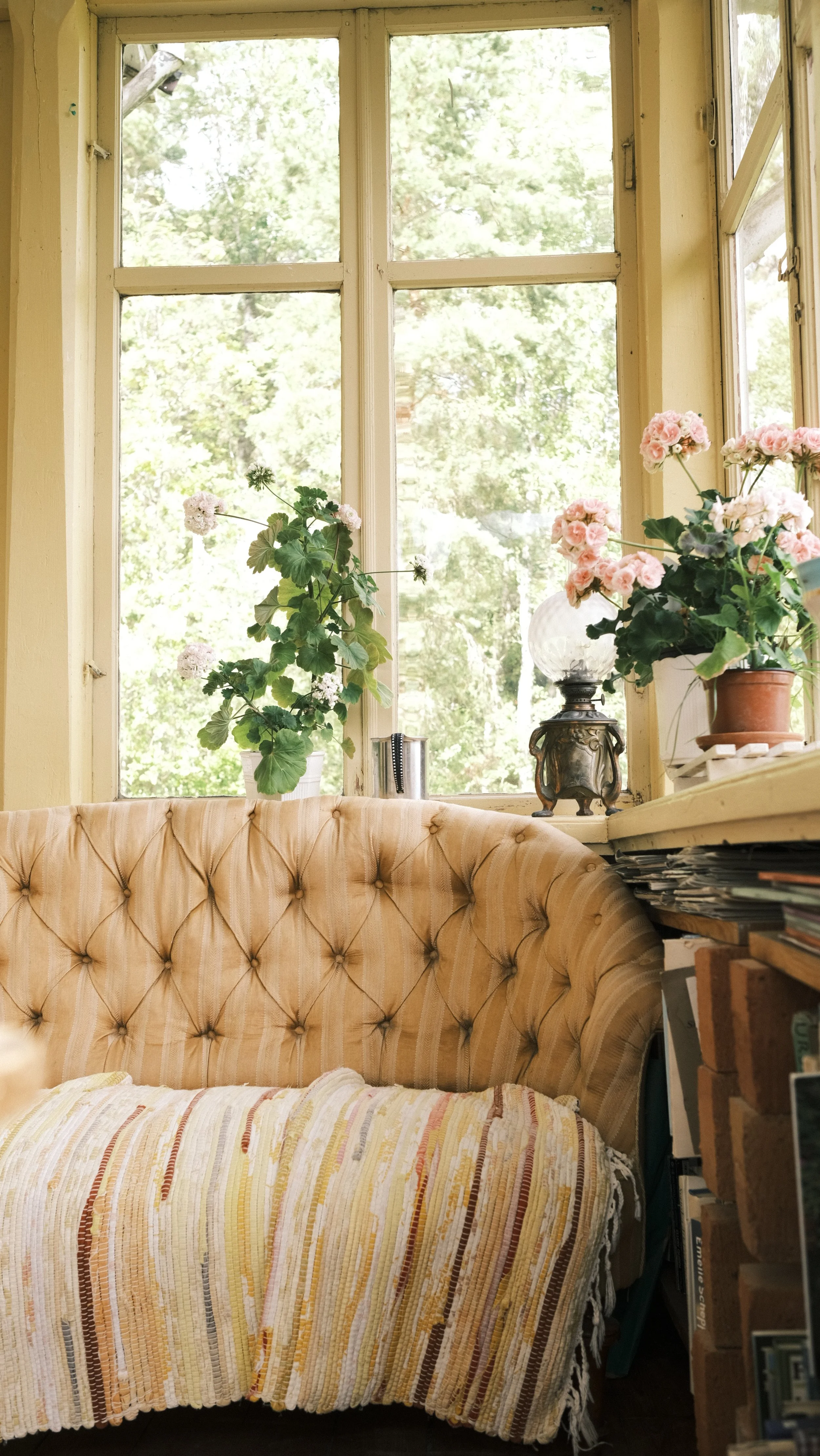 Cozy room with tan couch, colorful throw blanket, potted pink flowers on windowsill, large windows, and lush outdoor view.