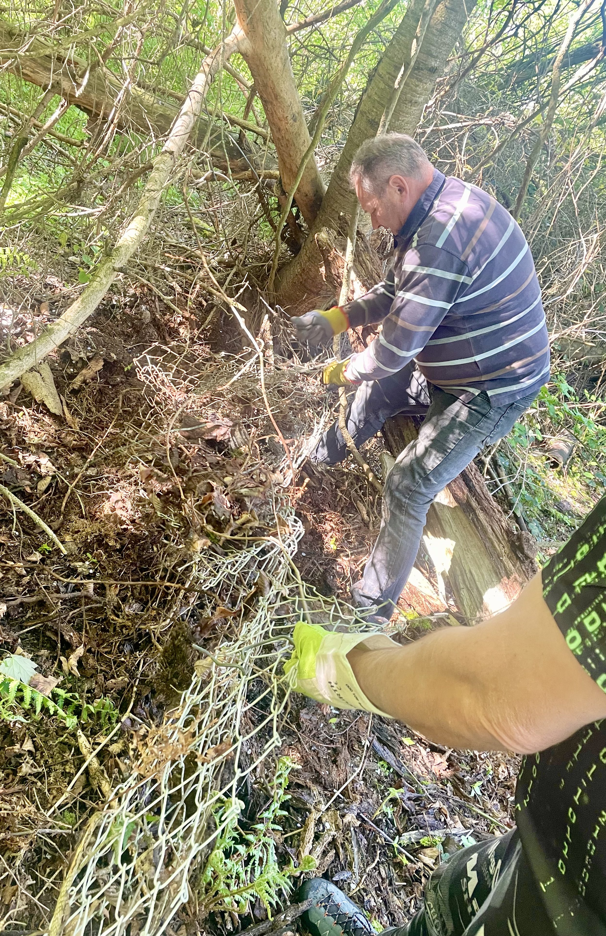 Vom Mülle befreit: Frühjahrsputz in Wald und wiese