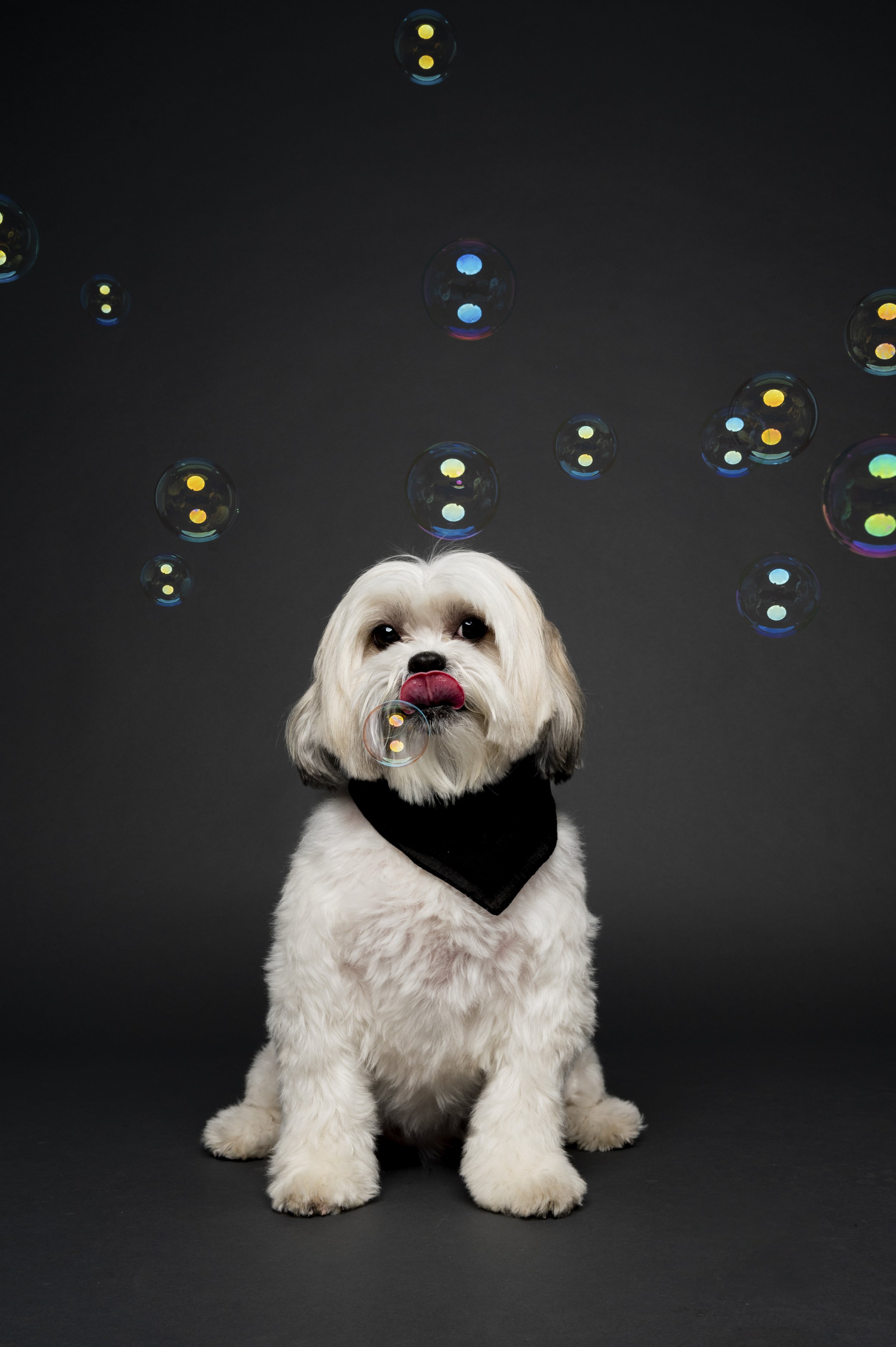 untitled-0018 copy.jpg