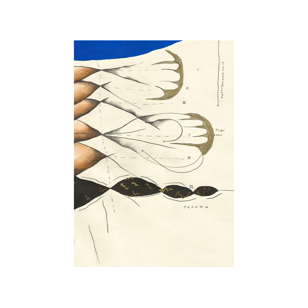 36_square_detail_02.png
