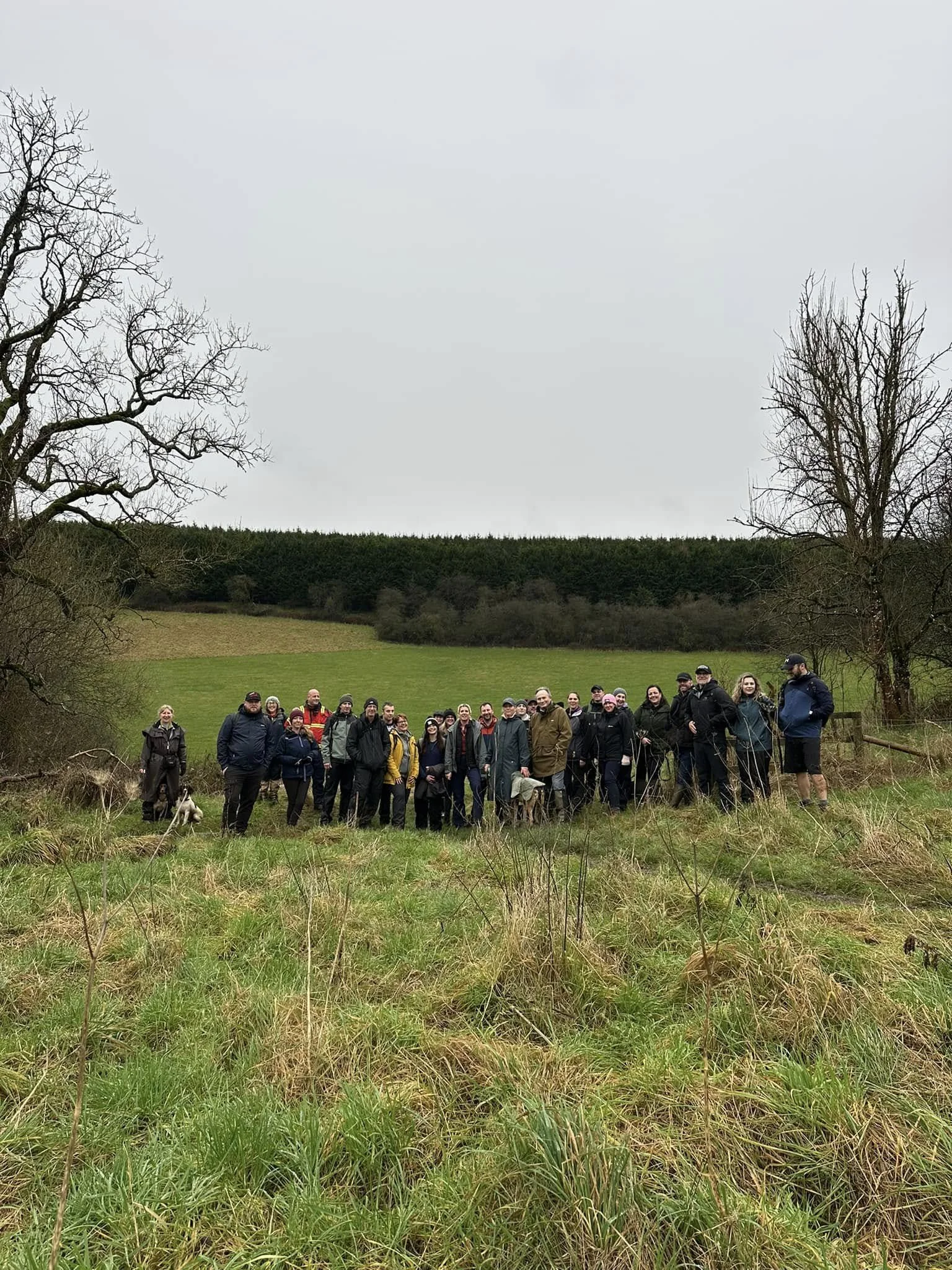 The New Year’s Day Walk That Changed Roam &amp; Wonder Forever