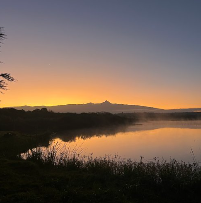 Screenshot 2025-05-09 12.19.32 AM.png