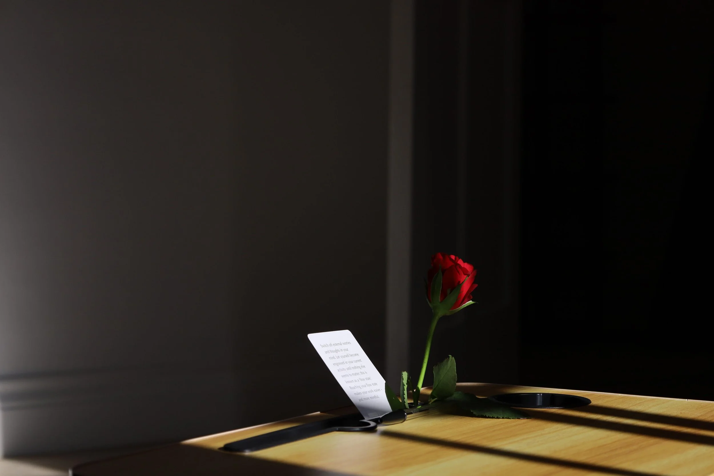 WhatsApp Image 2026-01-19 at 21.21.41.jpeg