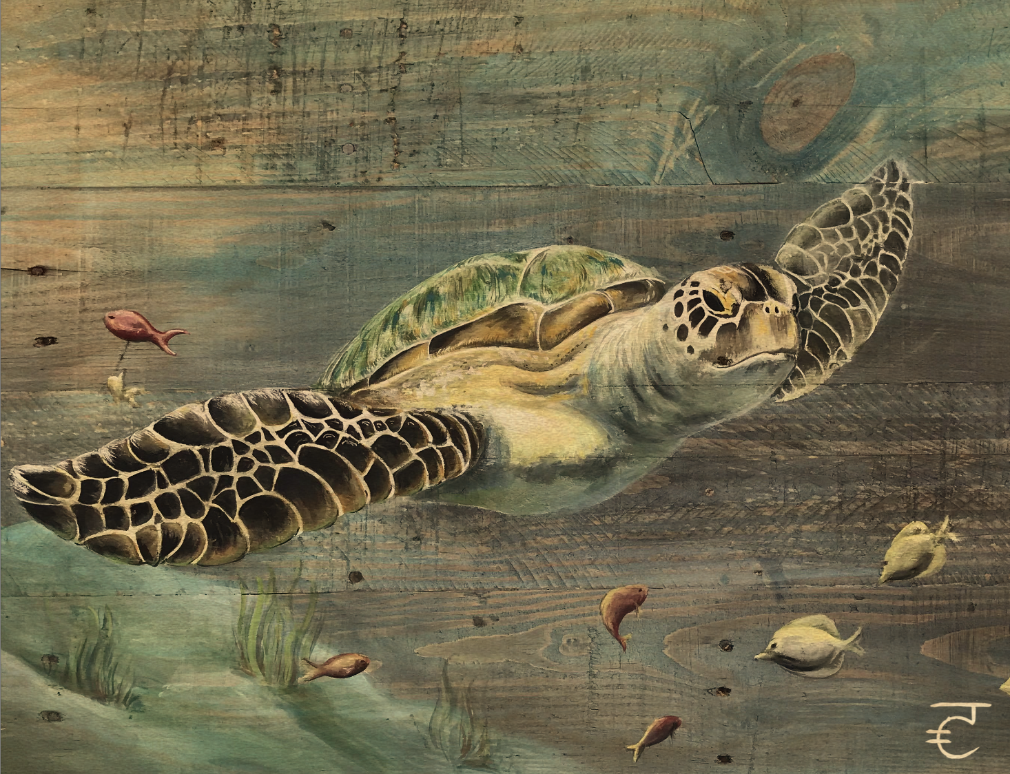 Turtle Reproduction.png