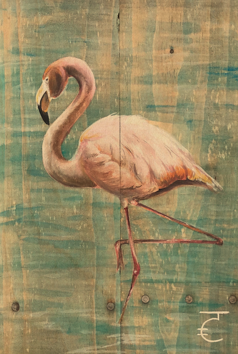 Flamingo Postcard.png
