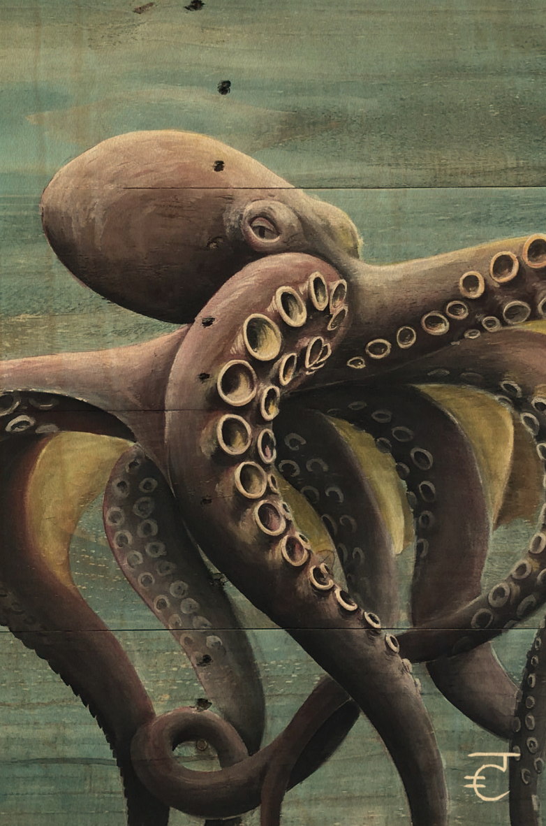 Octopus Postcard.png
