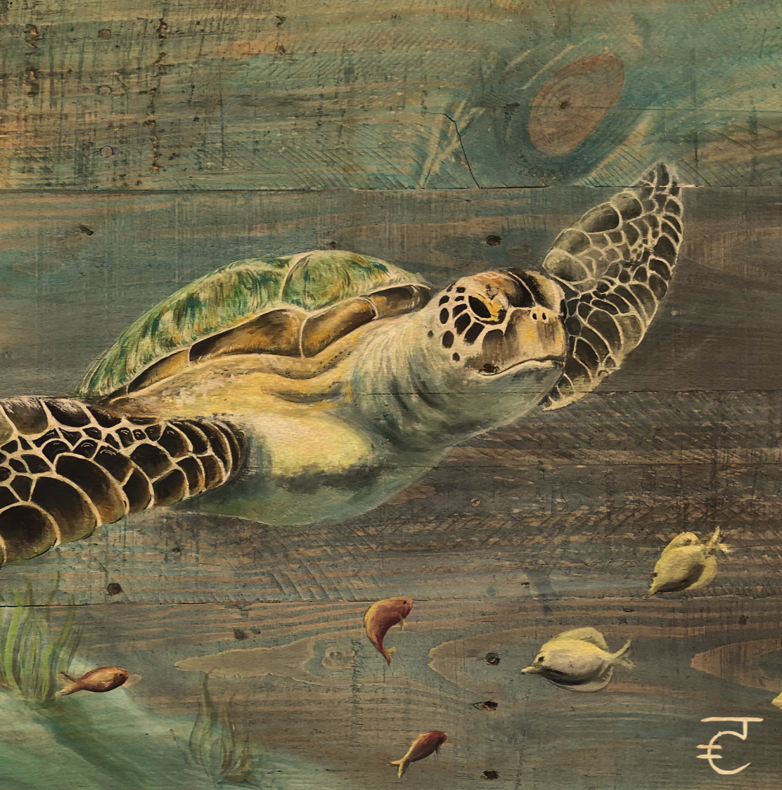 Sea Turtle Reproduction