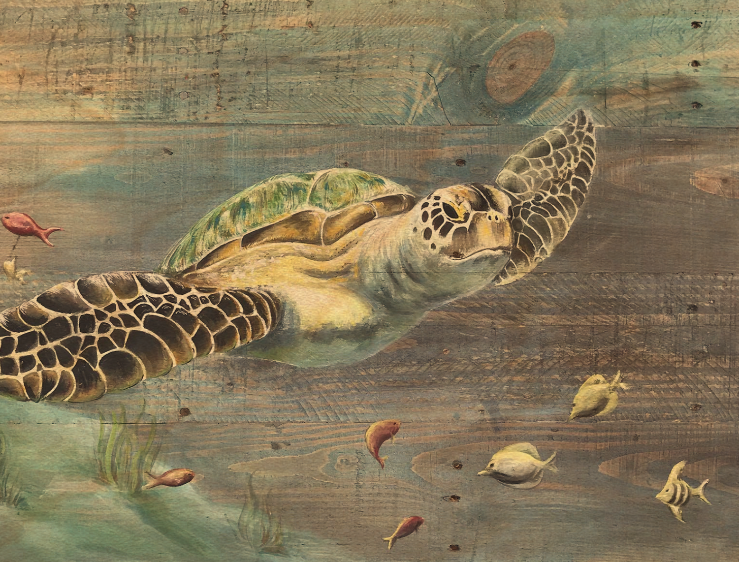Sea Turtle Postcard Print