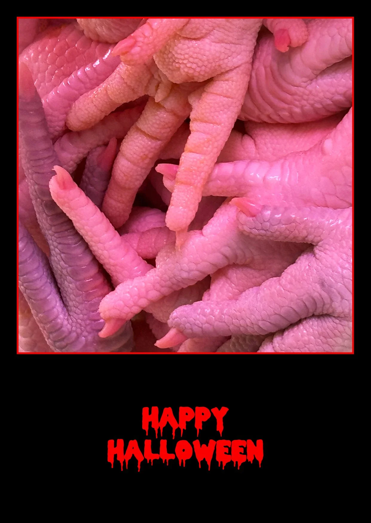 Happy Halloween - Old Paws.jpg