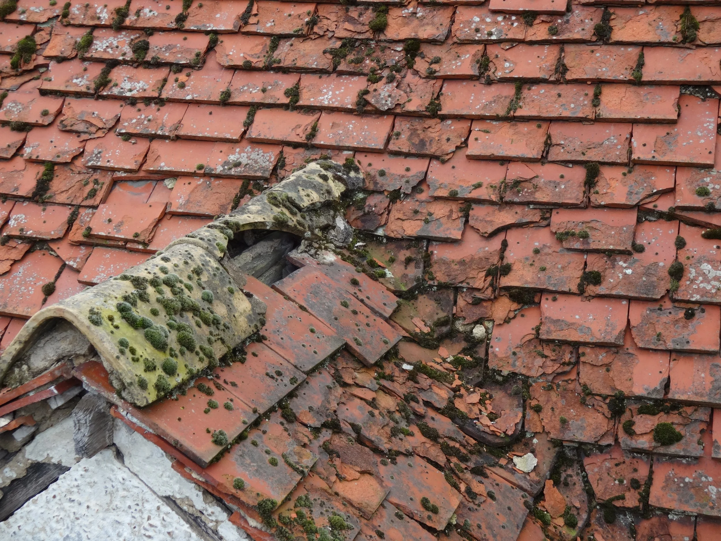 Good example of "spalling" or delamination of the roof tiles.
