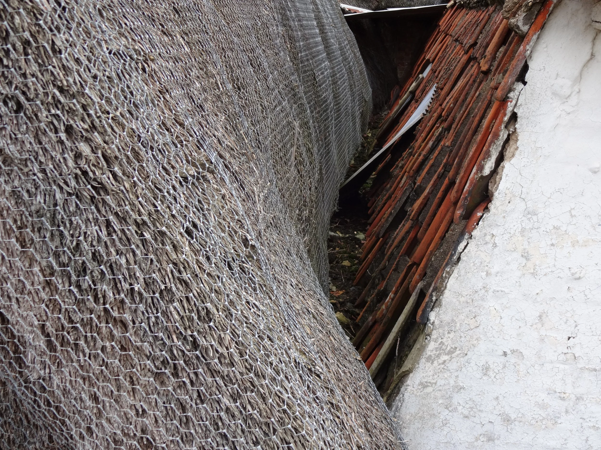 The juncture between thatch and tiled roofs