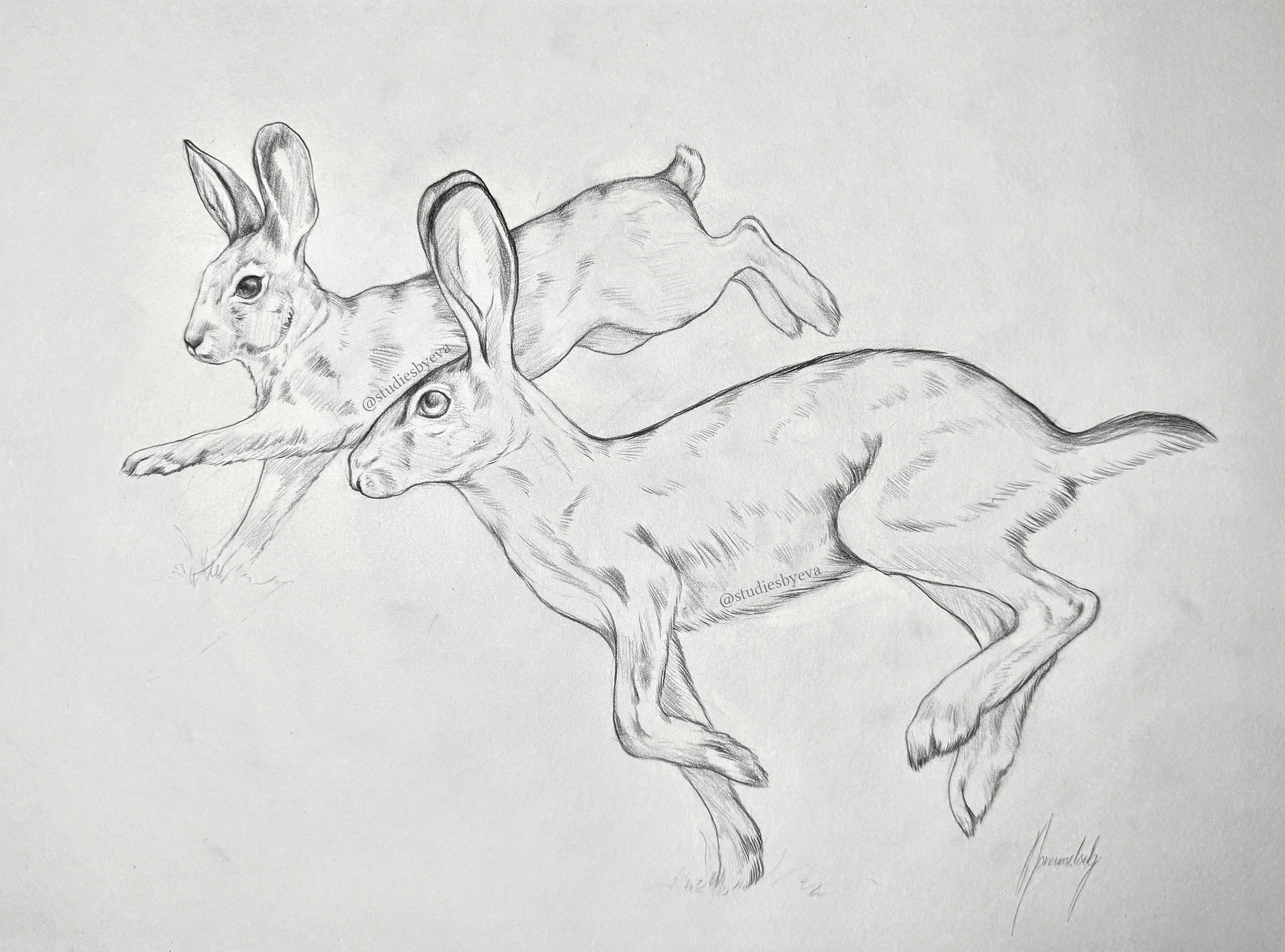 Untitled_Artwork.jpg