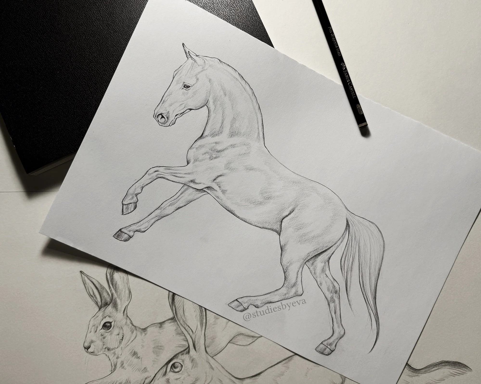 Untitled_Artwork+20.jpg