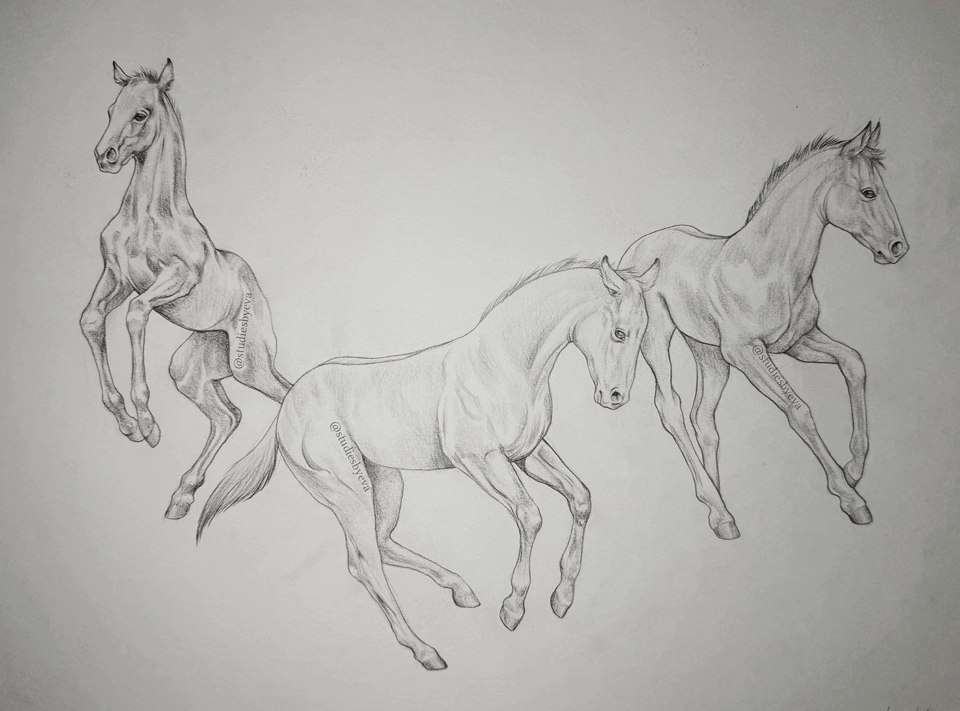 Untitled_Artwork%2B12.jpg