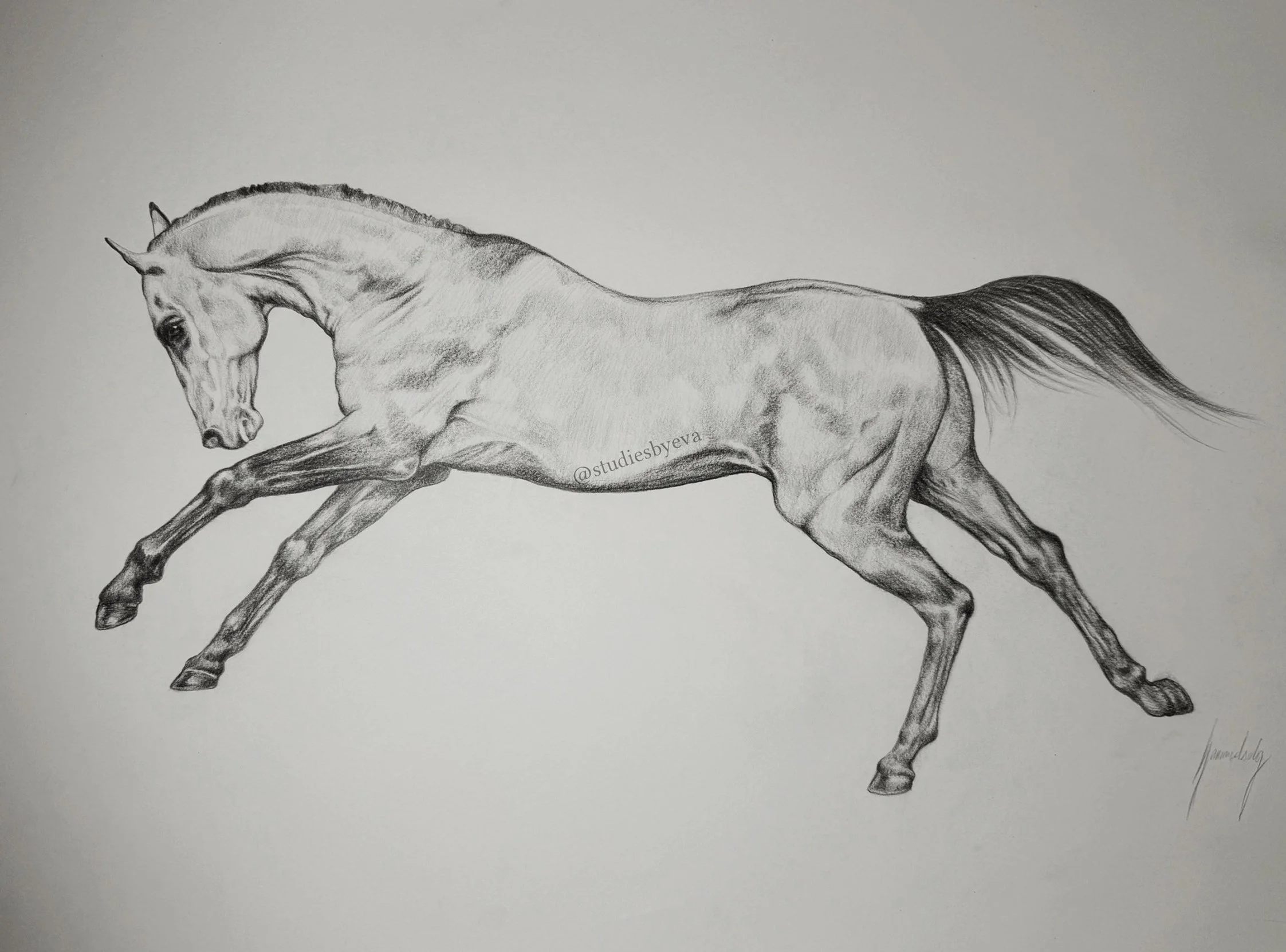 Untitled_Artwork%2B11.jpg