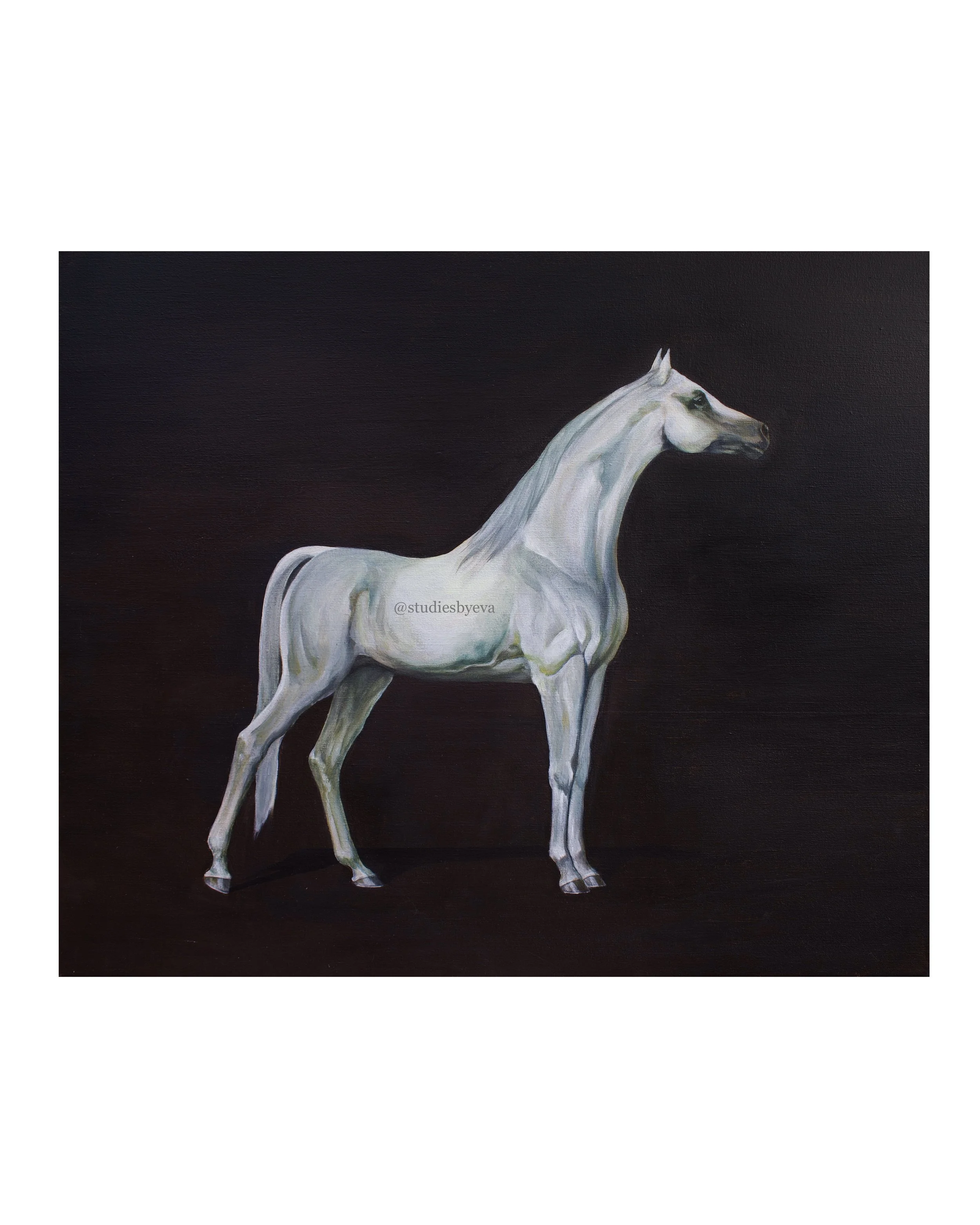 "Grey Arabian Horse" painting