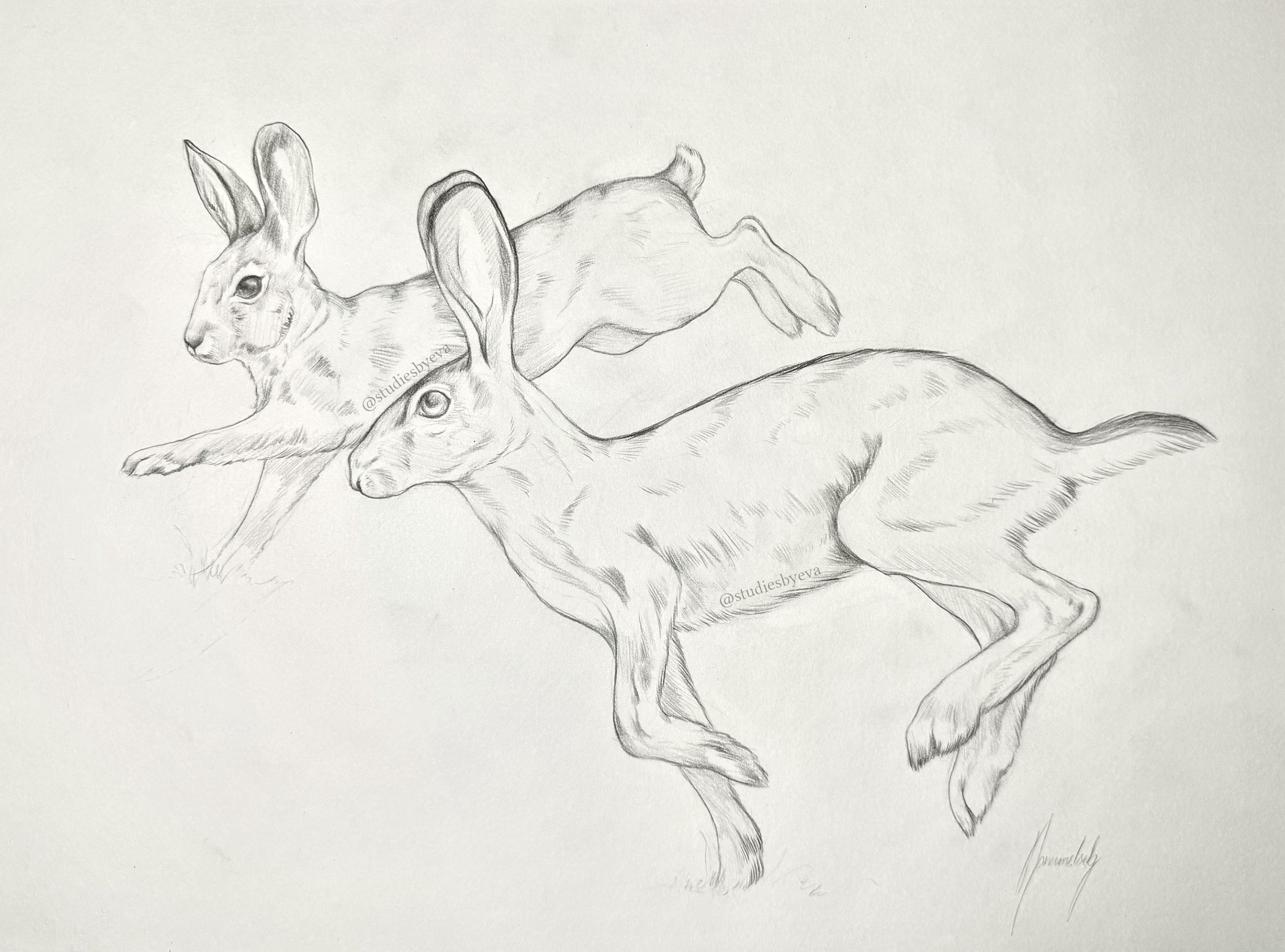 Untitled_Artwork.jpg