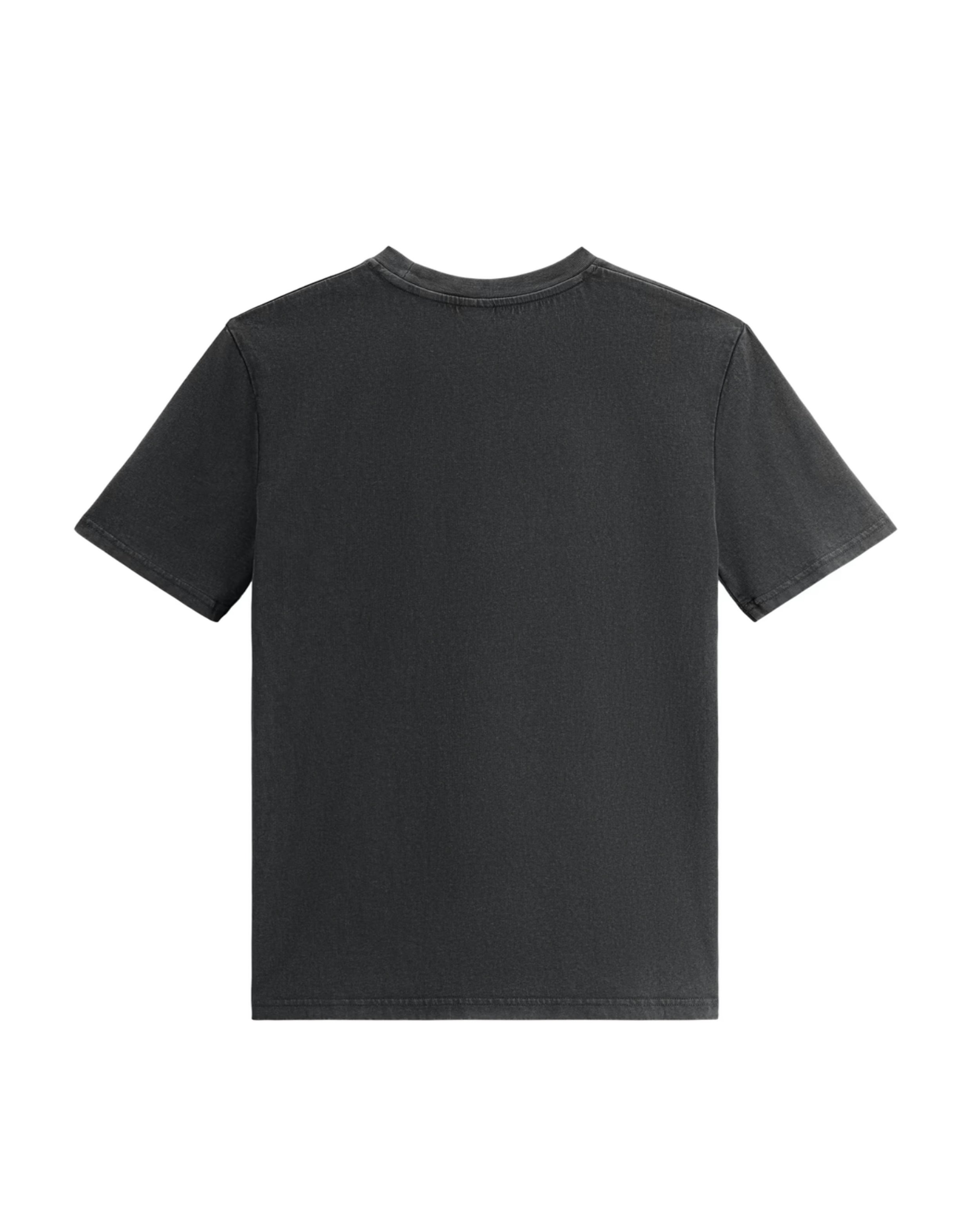 tshirt_b_back.jpg
